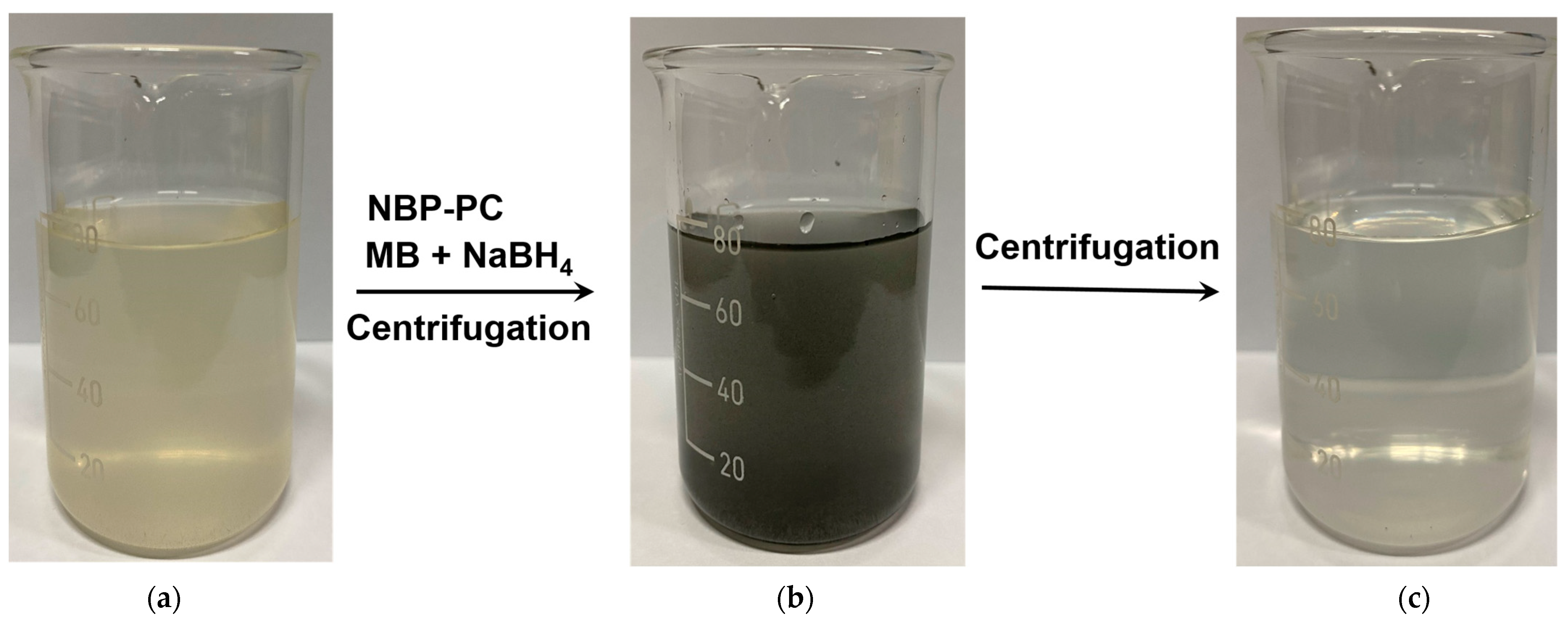 Catalysts 13 00449 g009