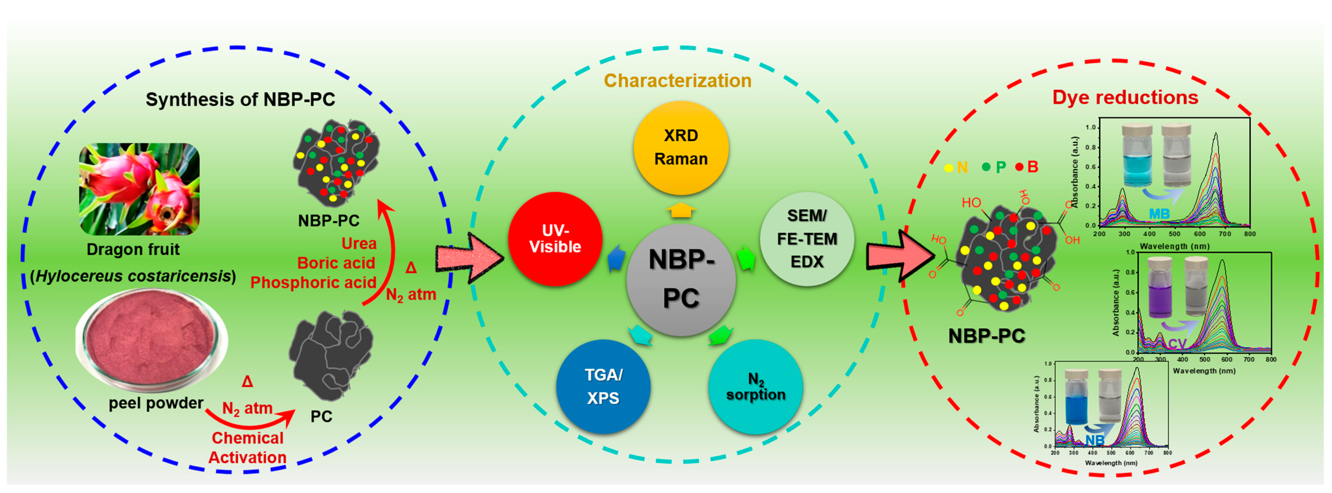 Catalysts 13 00449 sch002