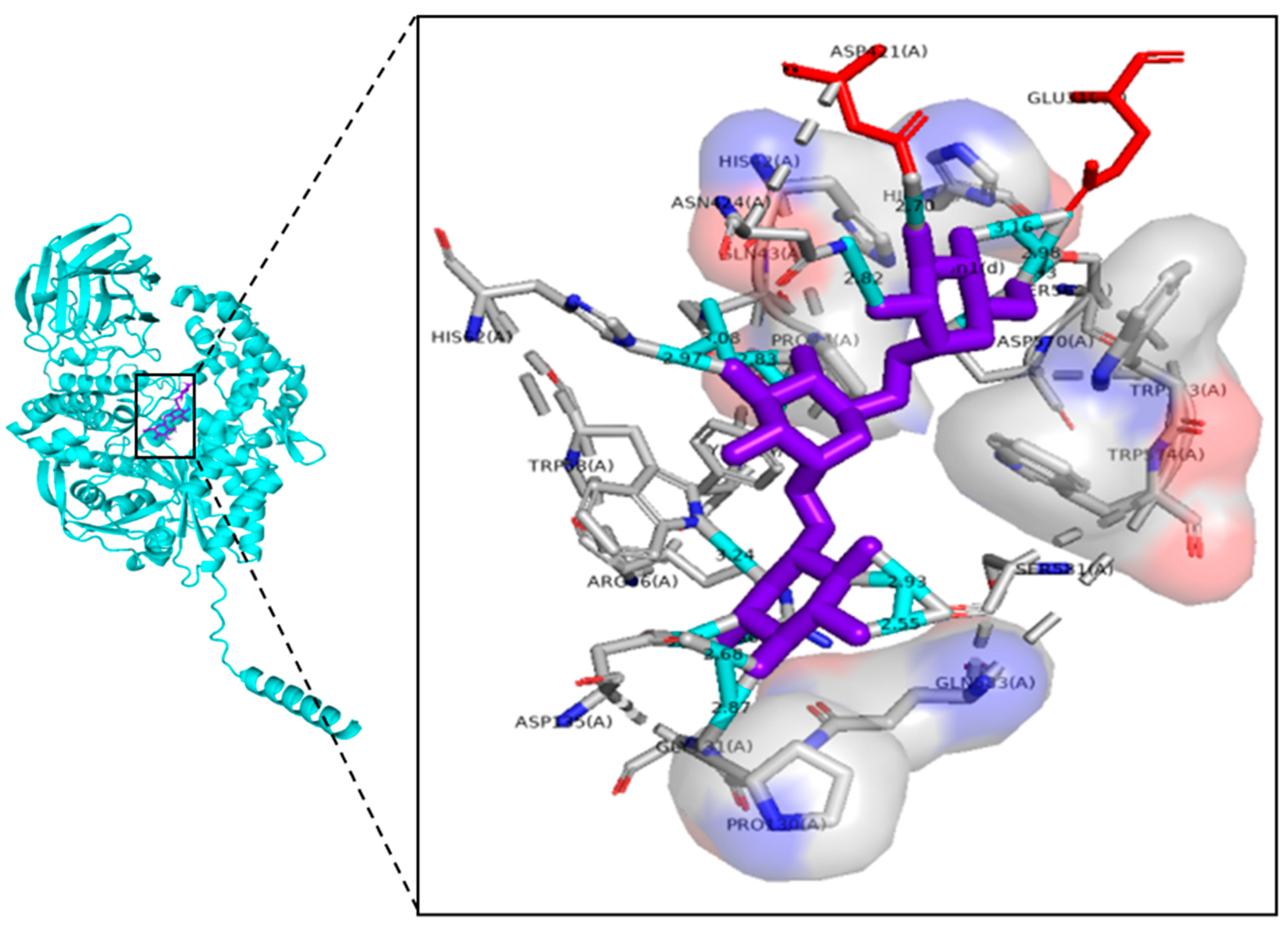 Catalysts 13 00453 g008