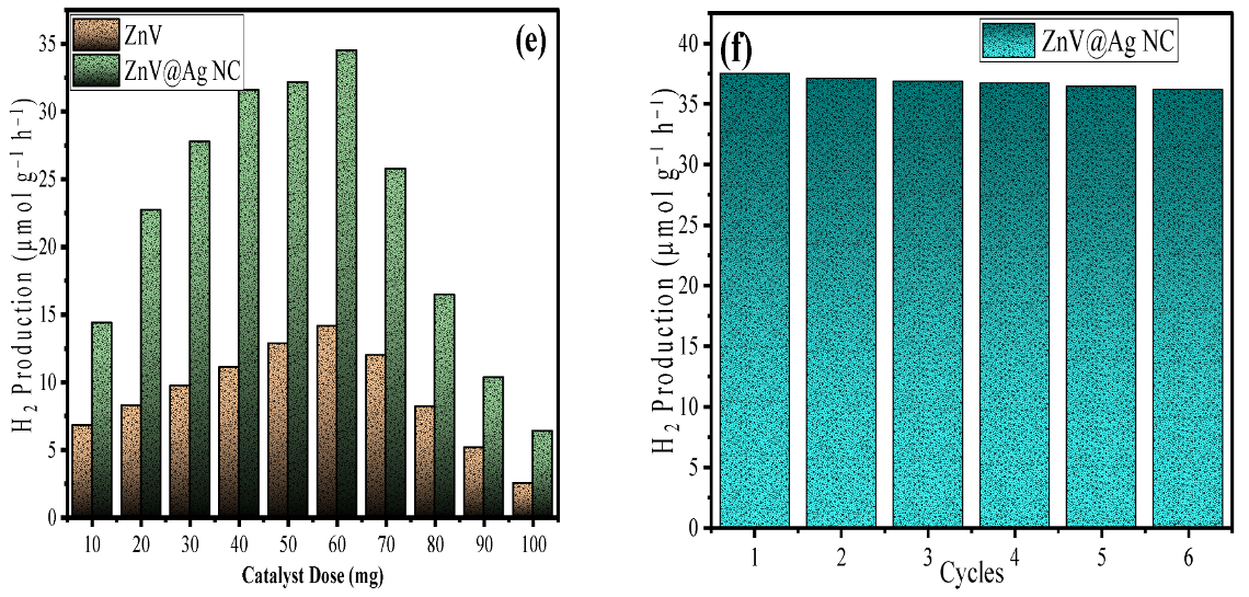 Catalysts 13 00455 g008b