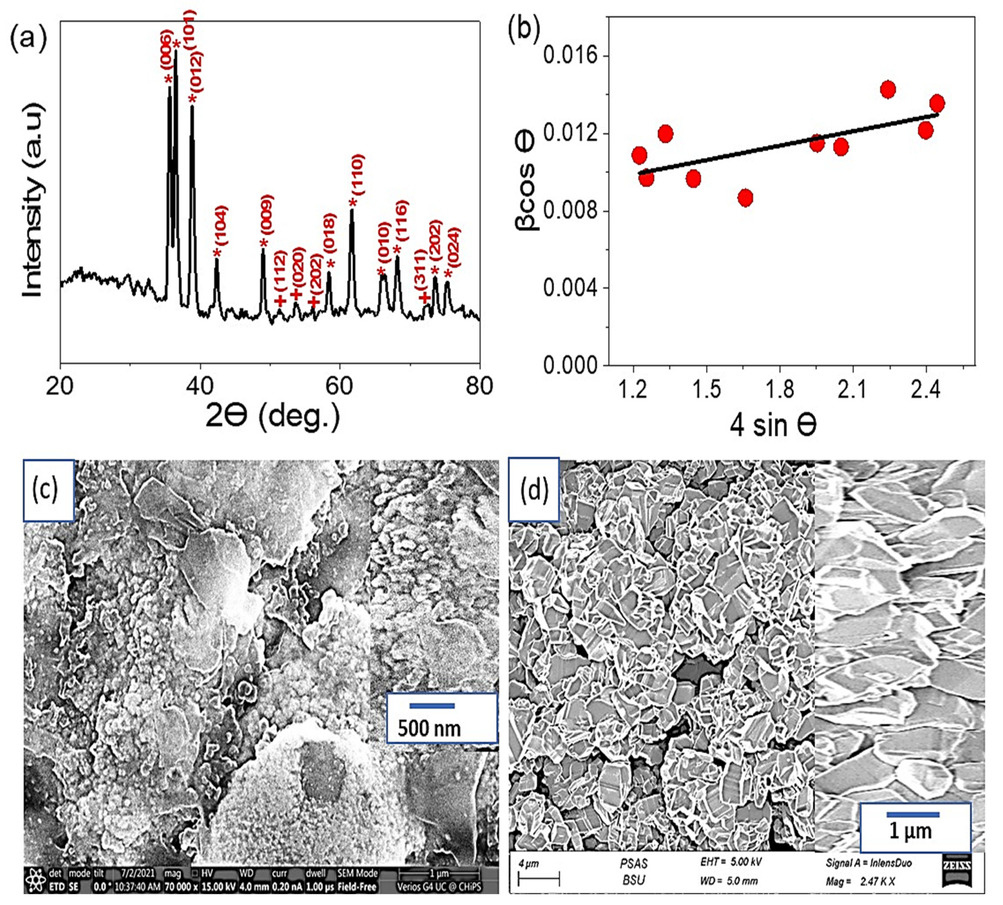 Catalysts 13 00456 g001