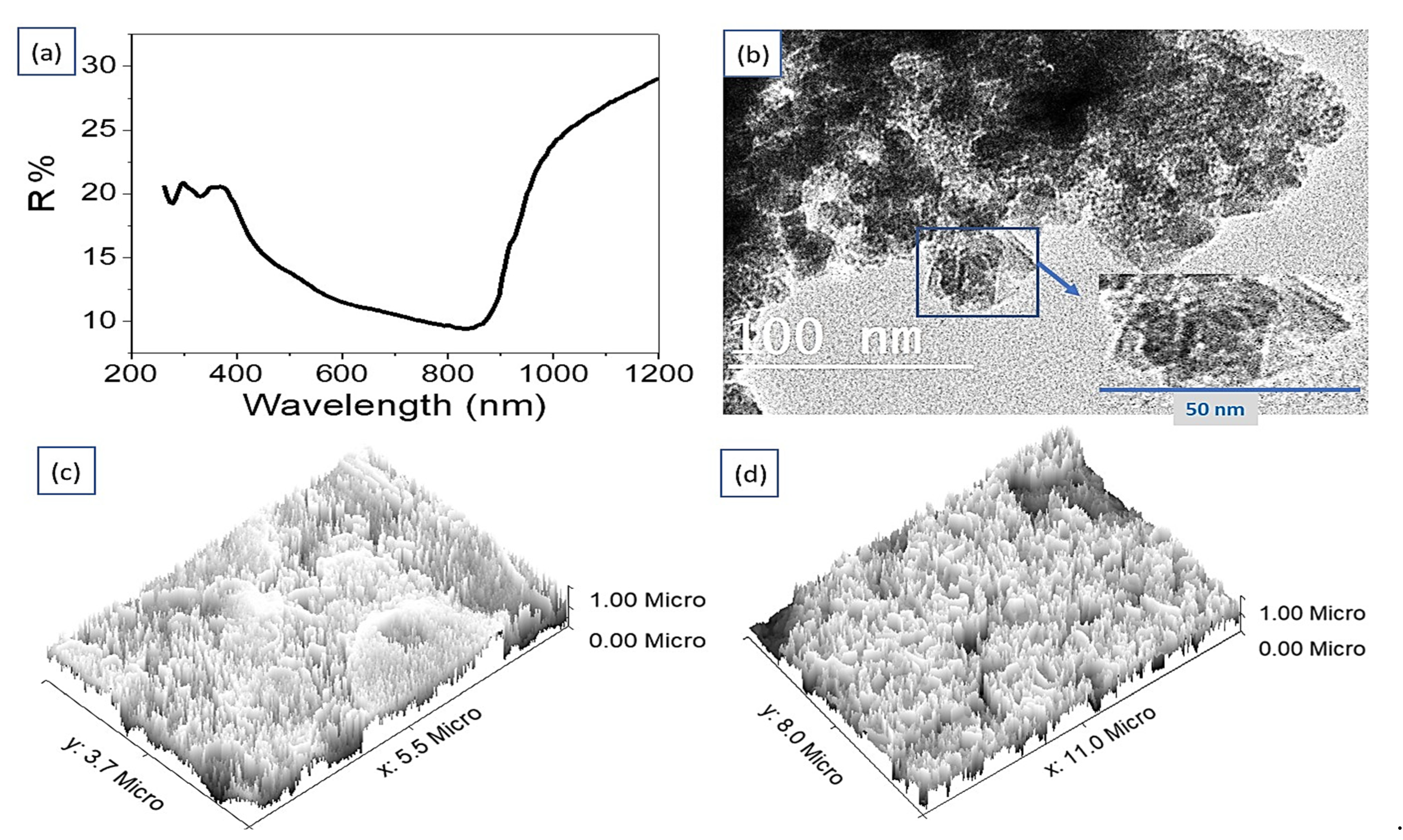 Catalysts 13 00456 g002