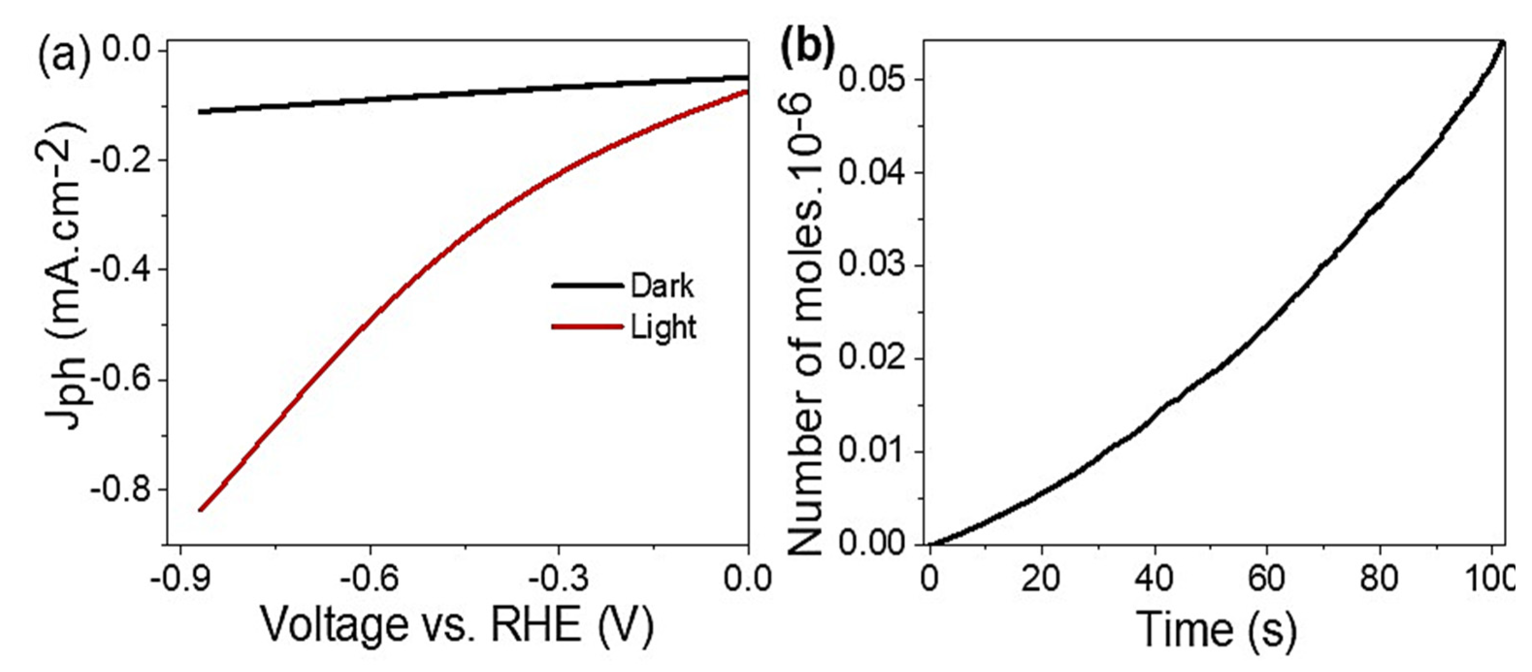 Catalysts 13 00456 g003