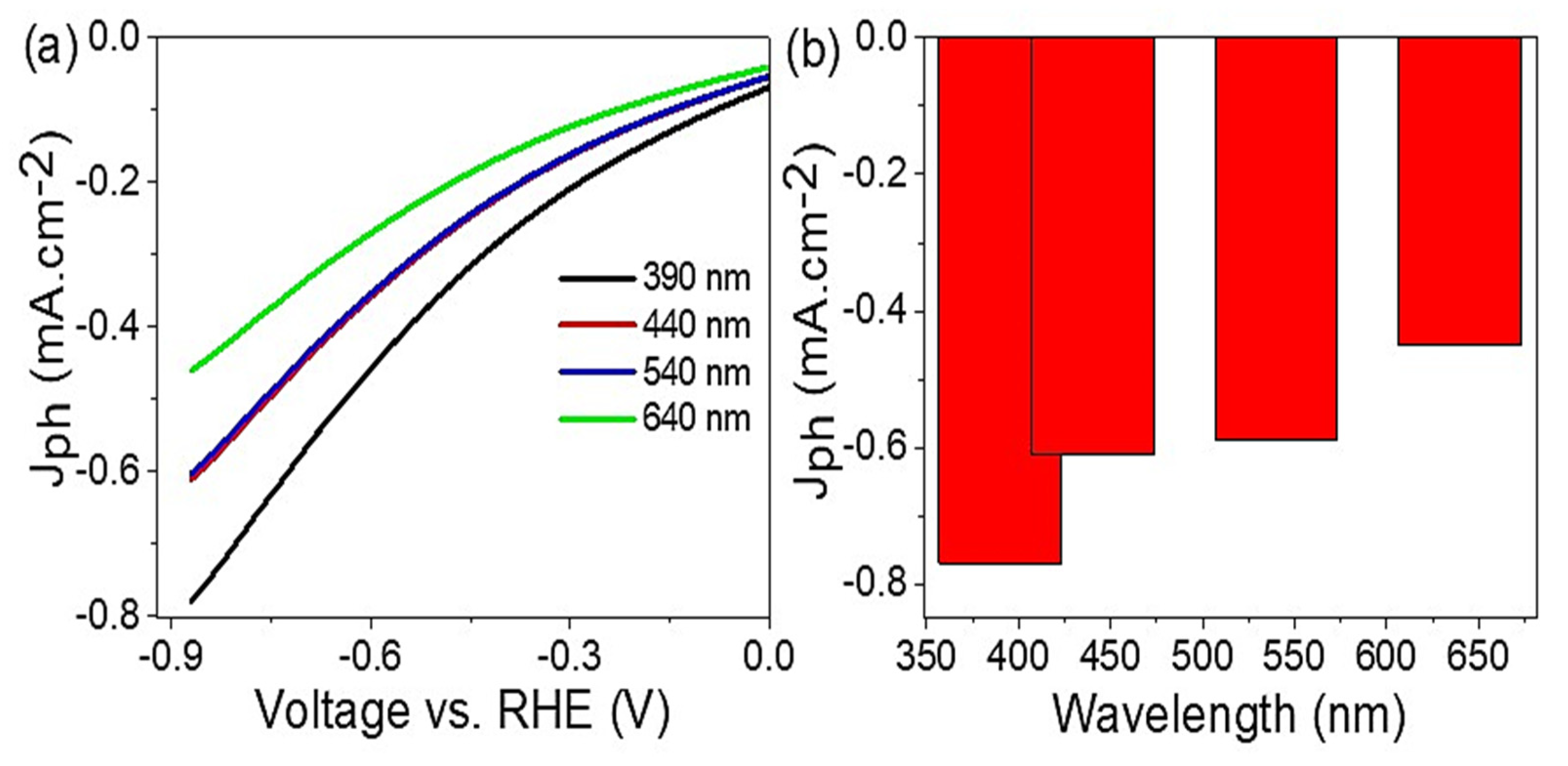 Catalysts 13 00456 g004