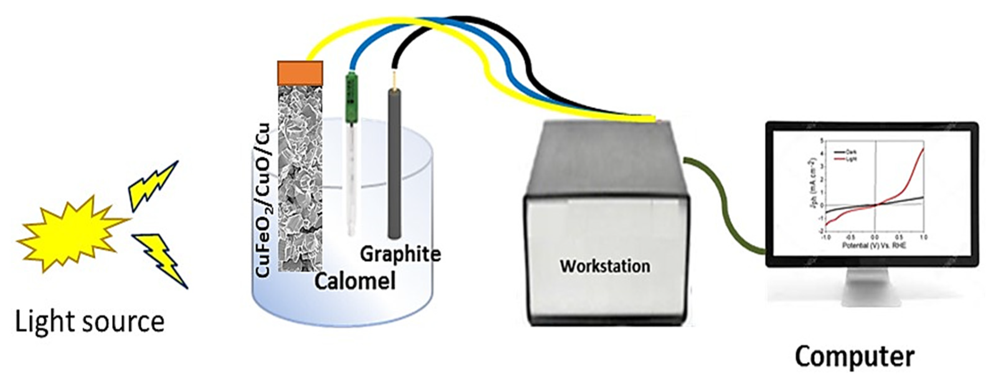 Catalysts 13 00456 g005