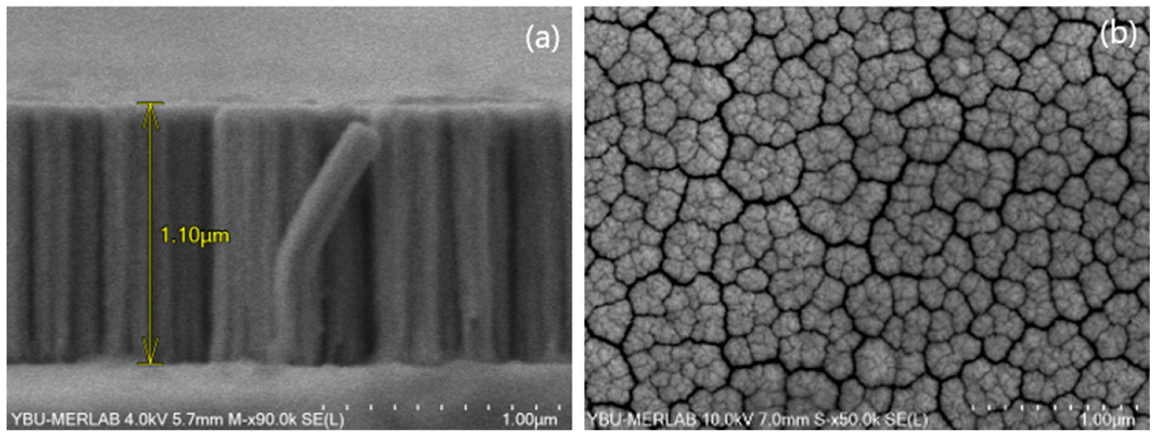 Catalysts 13 00458 g001 Catalysts 13 00458 g001