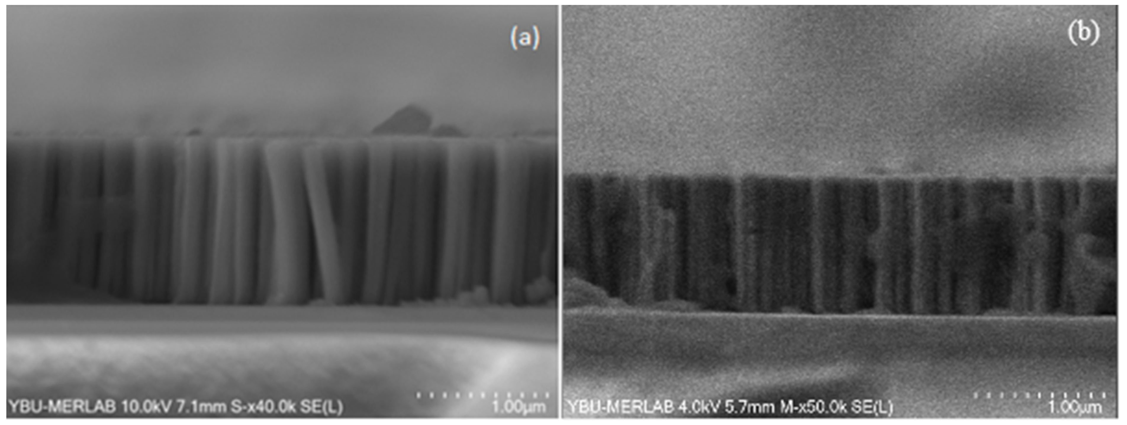 Catalysts 13 00458 g004 Catalysts 13 00458 g004