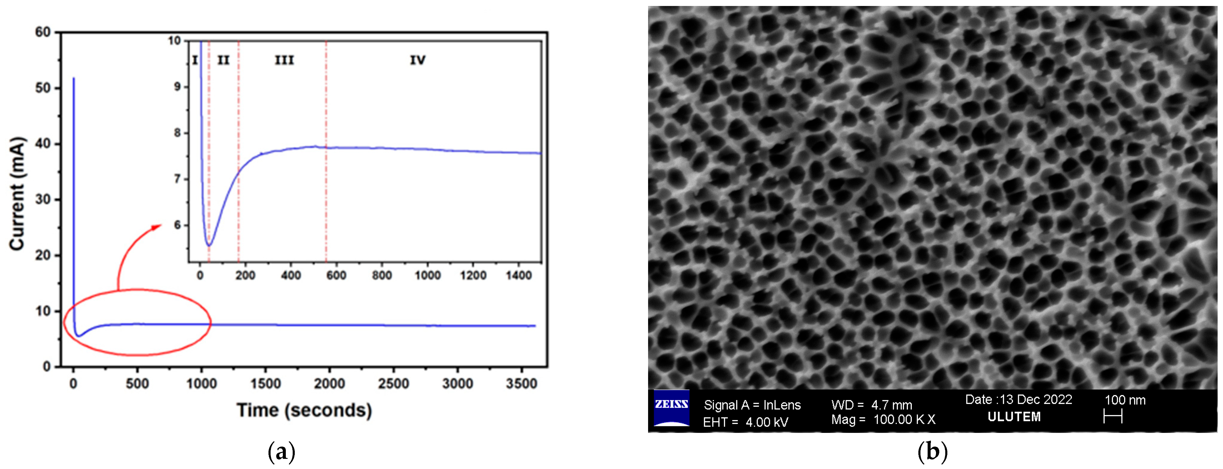 Catalysts 13 00459 g001
