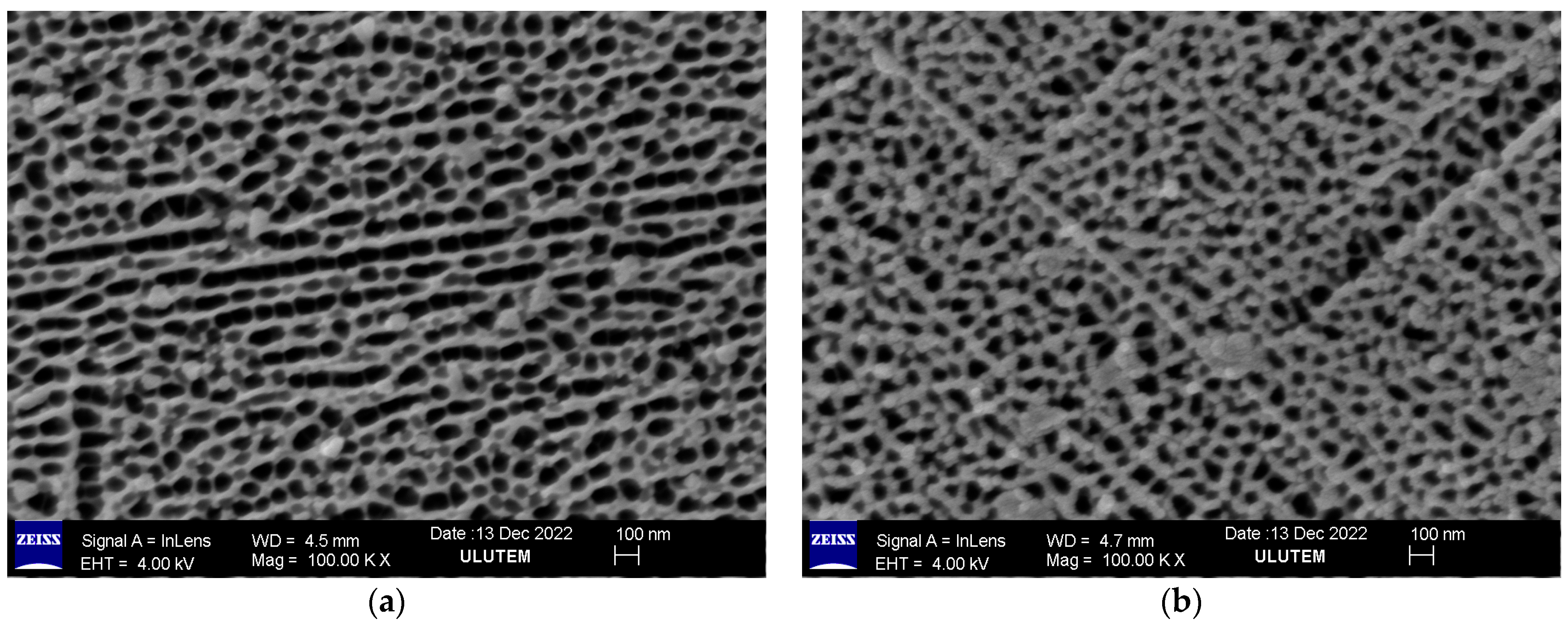 Catalysts 13 00459 g002