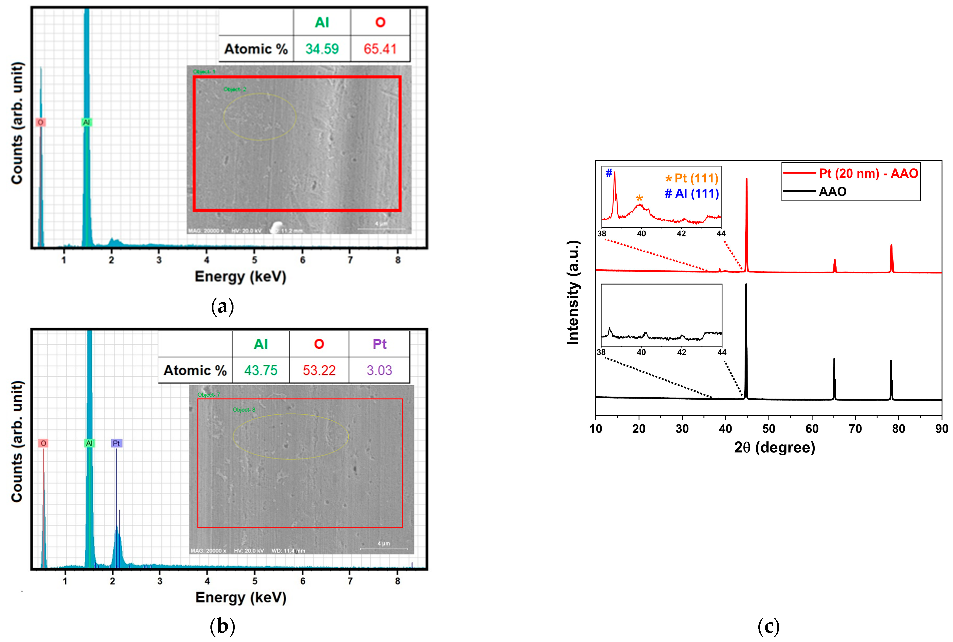 Catalysts 13 00459 g003