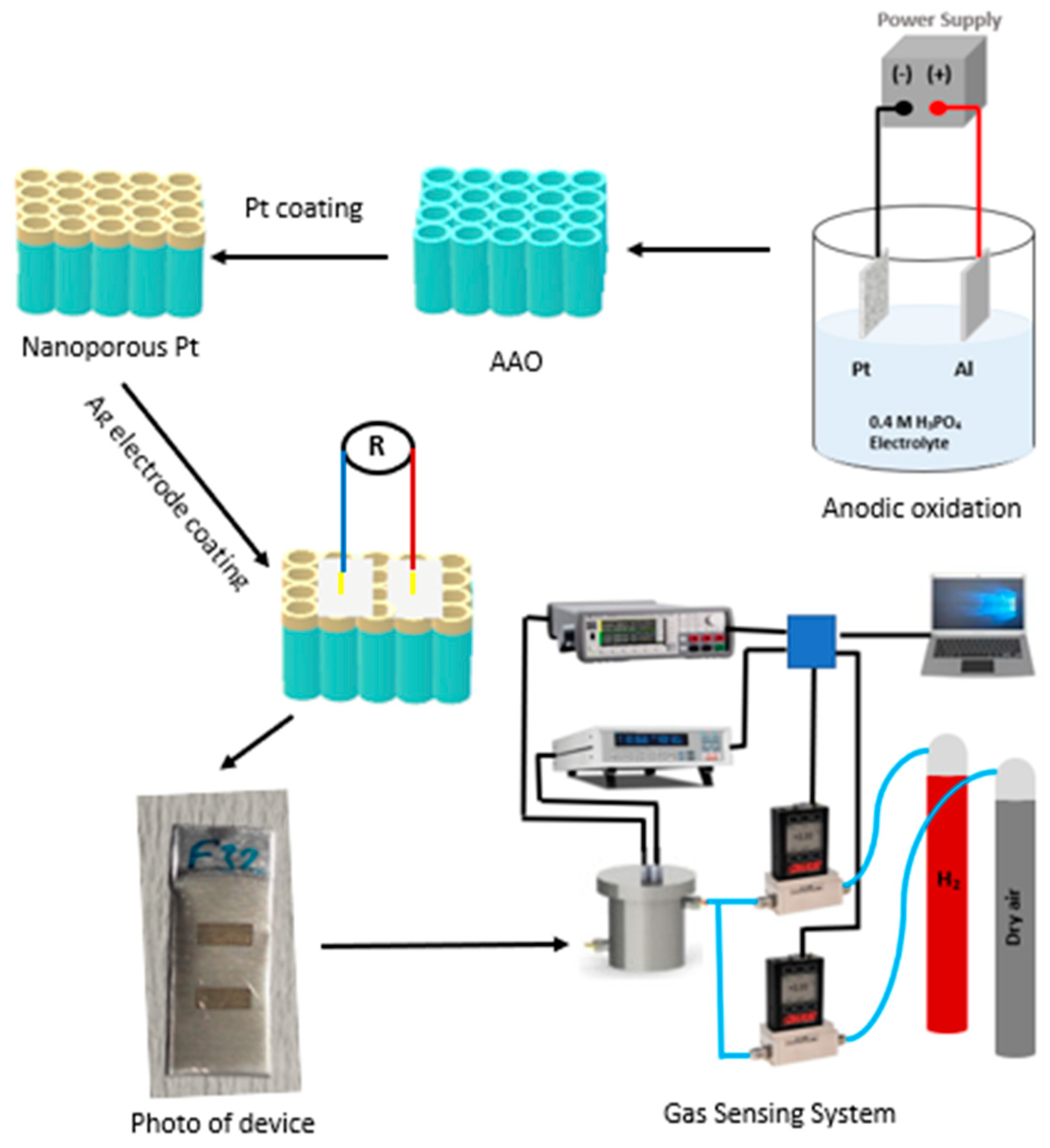 Catalysts 13 00459 g006