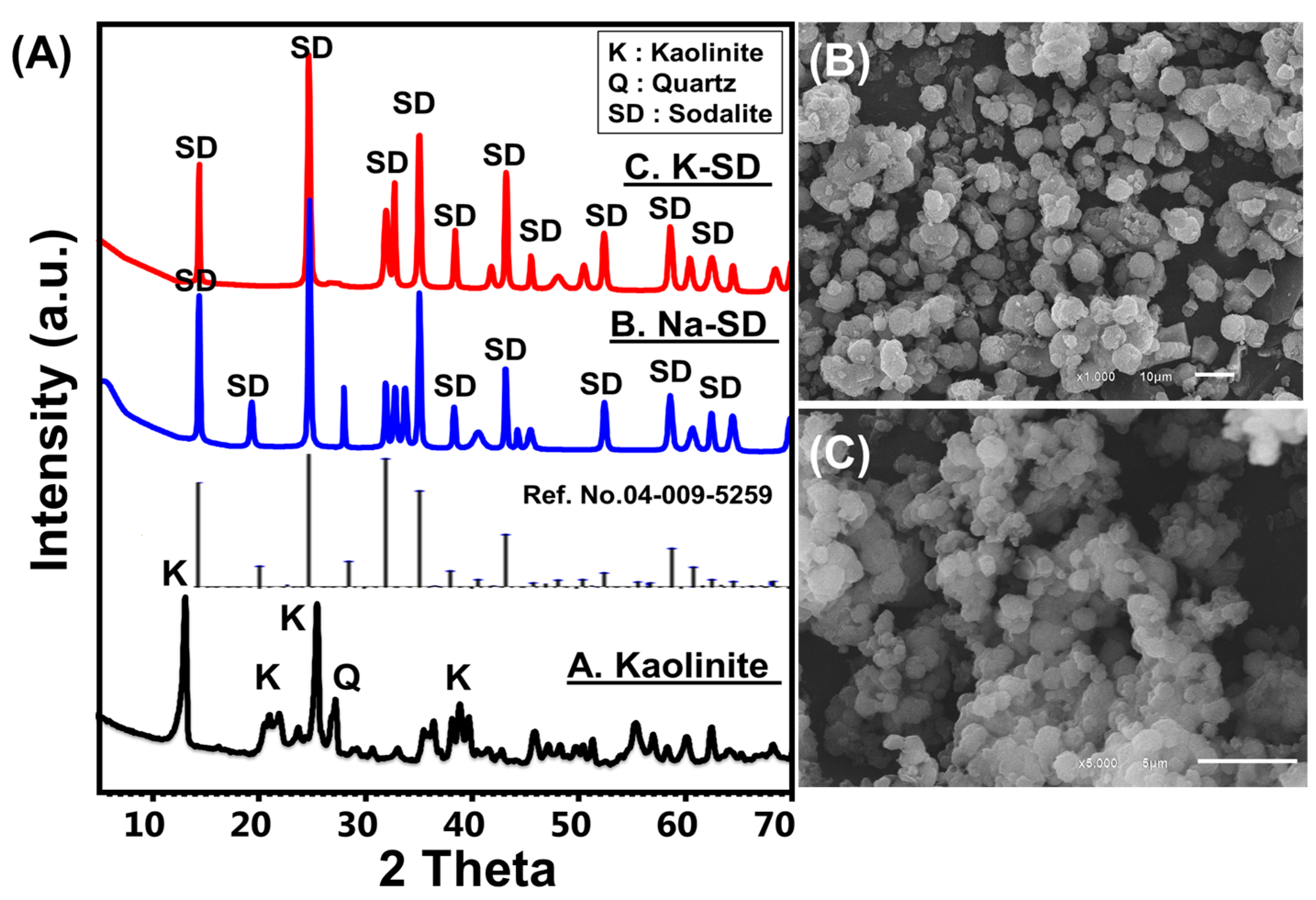 Catalysts 13 00462 g001