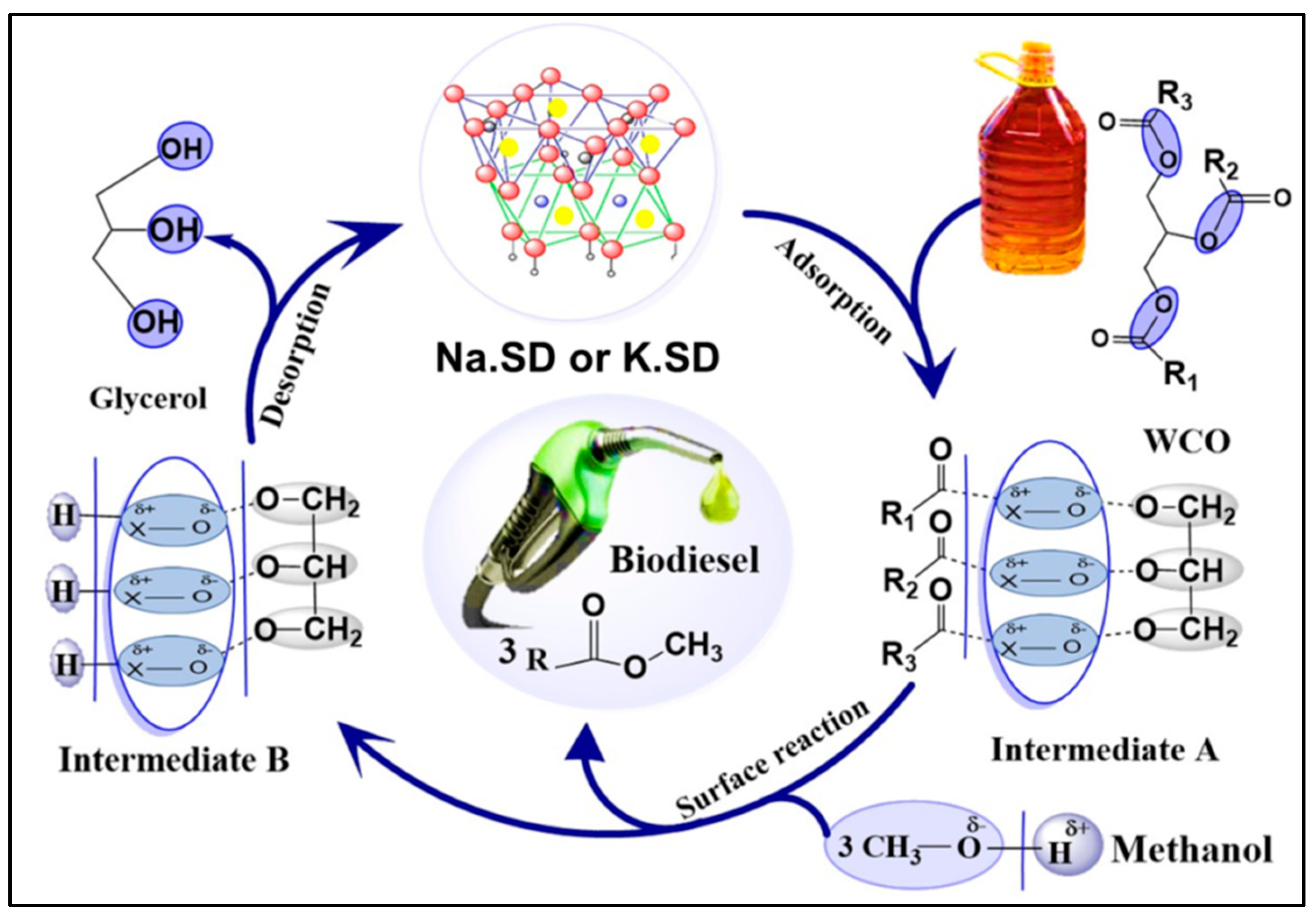 Catalysts 13 00462 g004