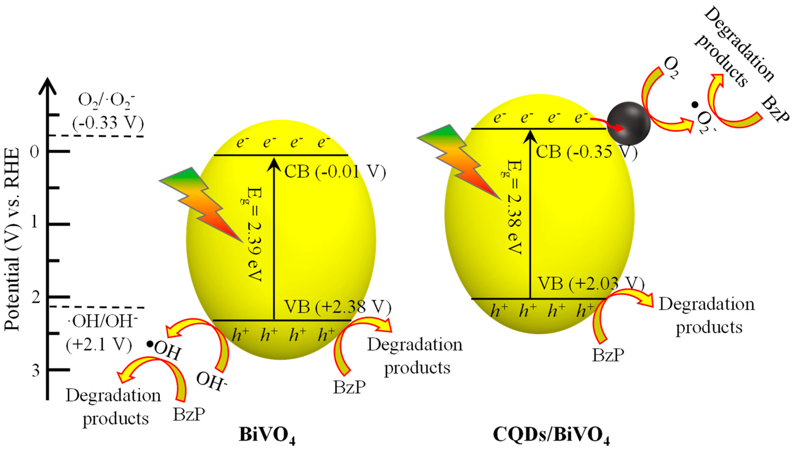Catalysts 13 00463 sch001