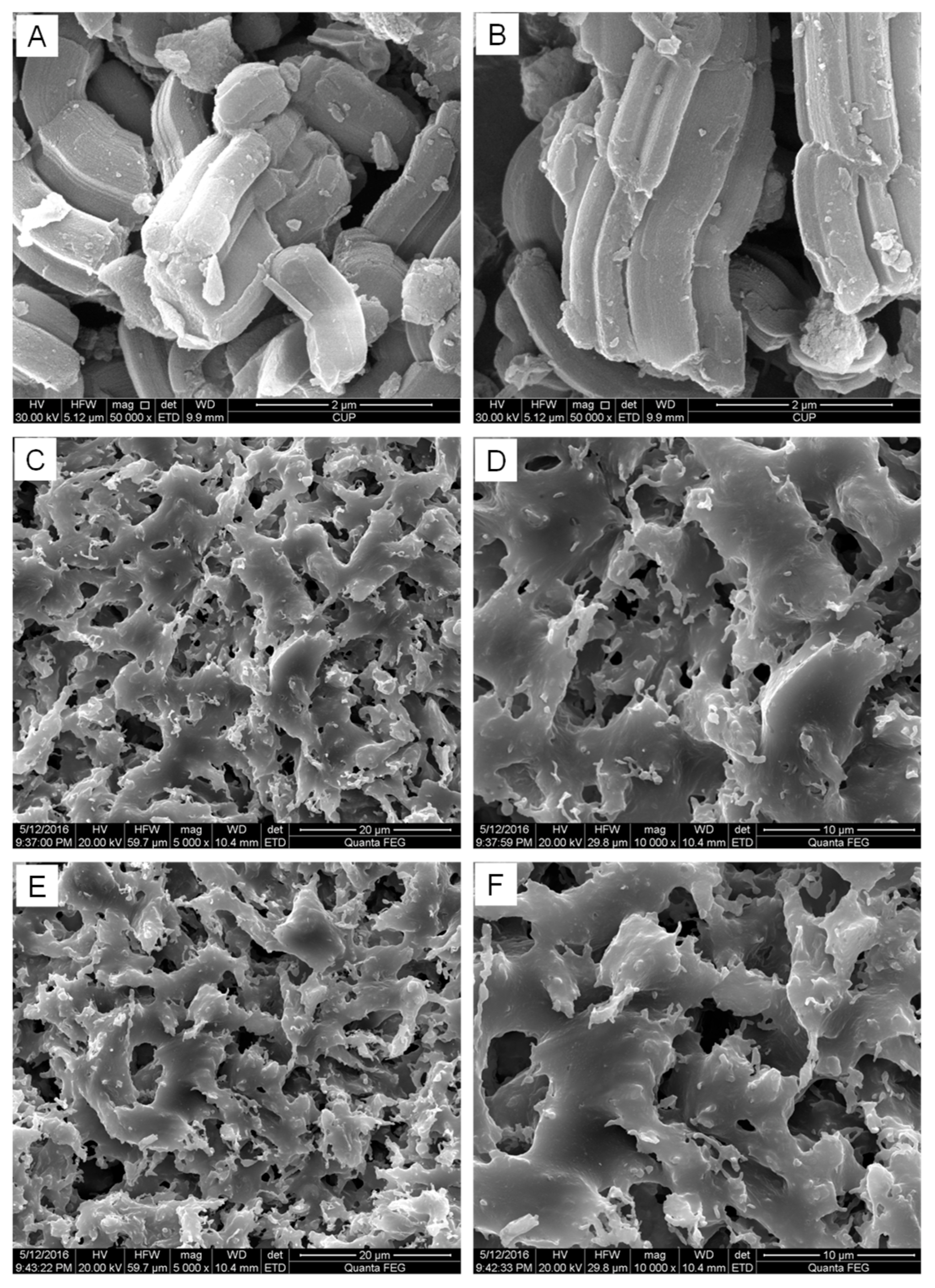 Catalysts 13 00464 g001