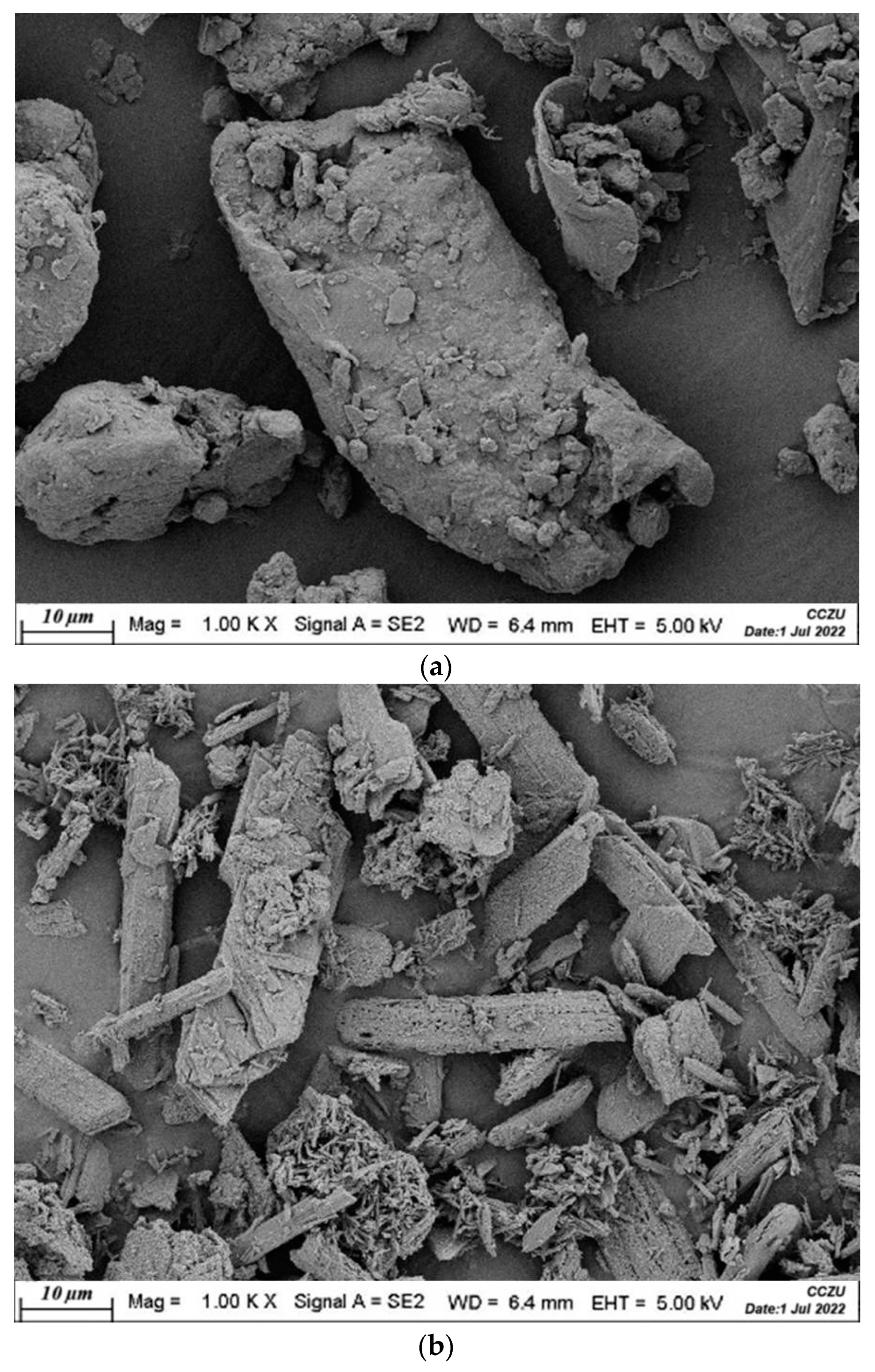 Catalysts 13 00467 g001