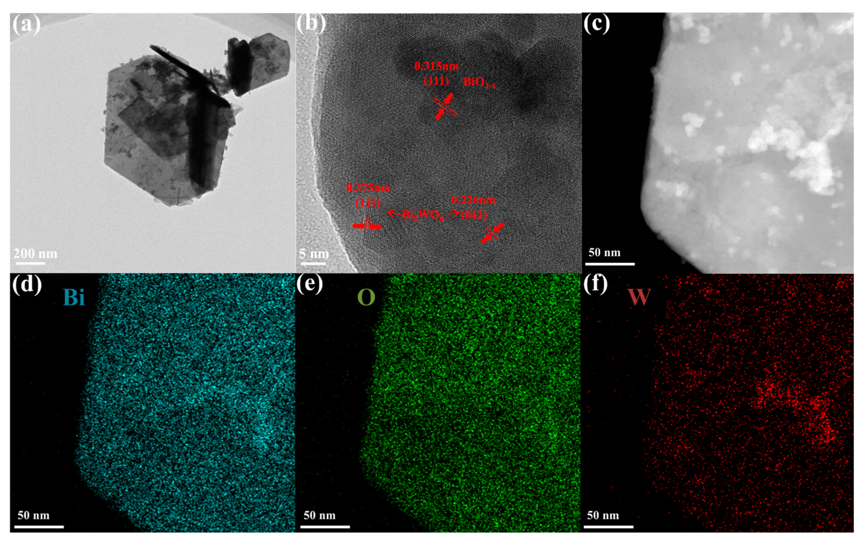 Catalysts 13 00469 g002