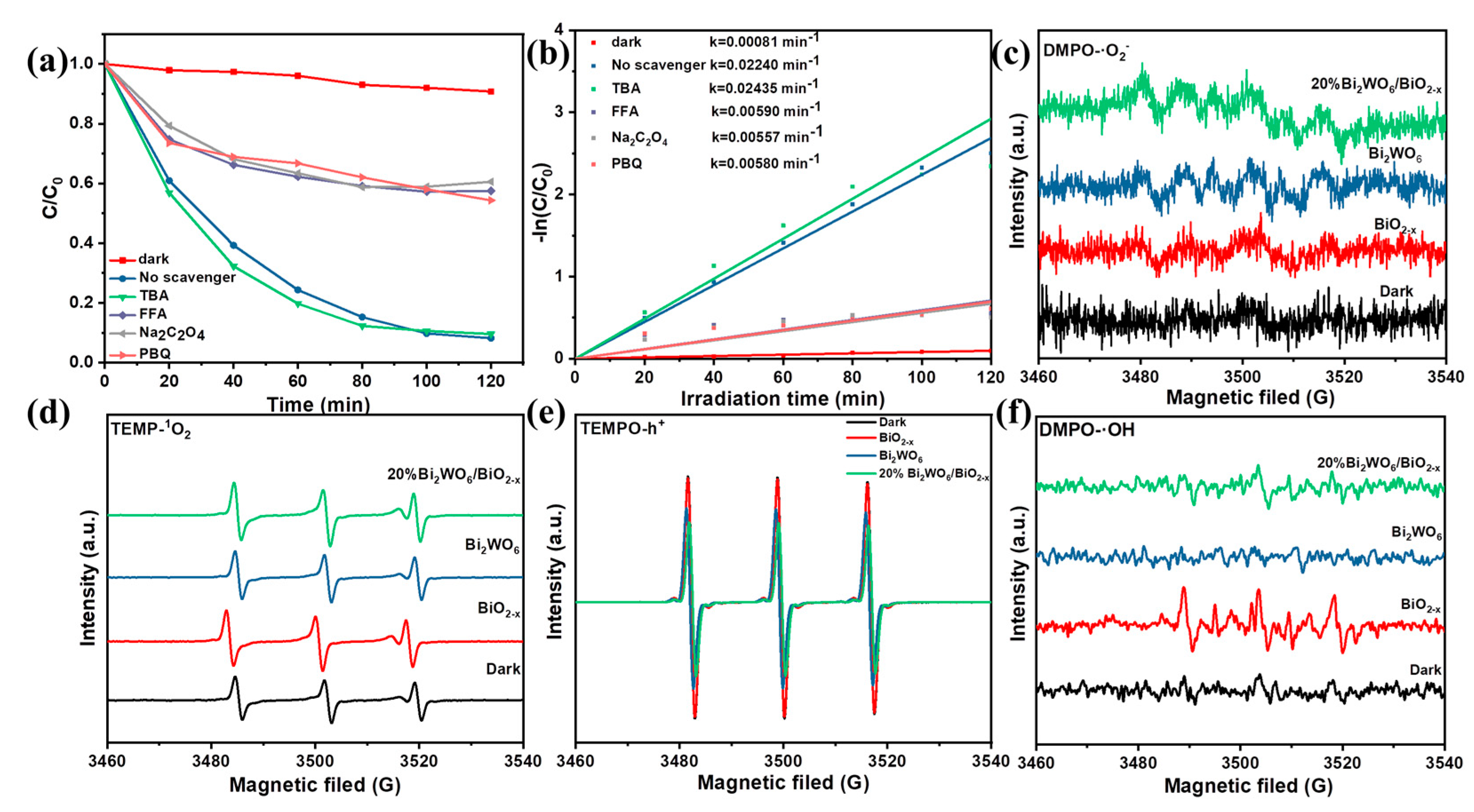 Catalysts 13 00469 g007