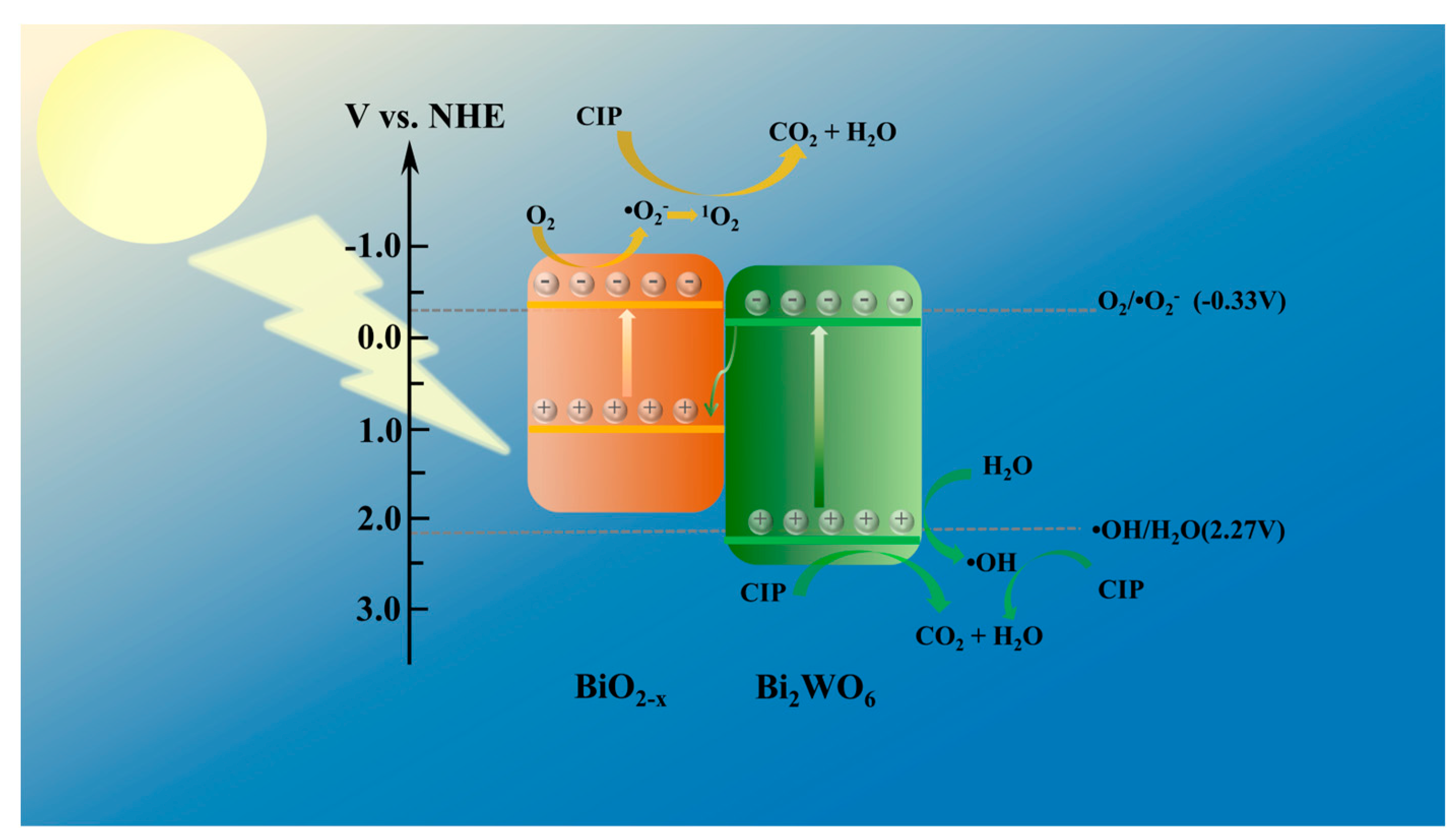 Catalysts 13 00469 sch001