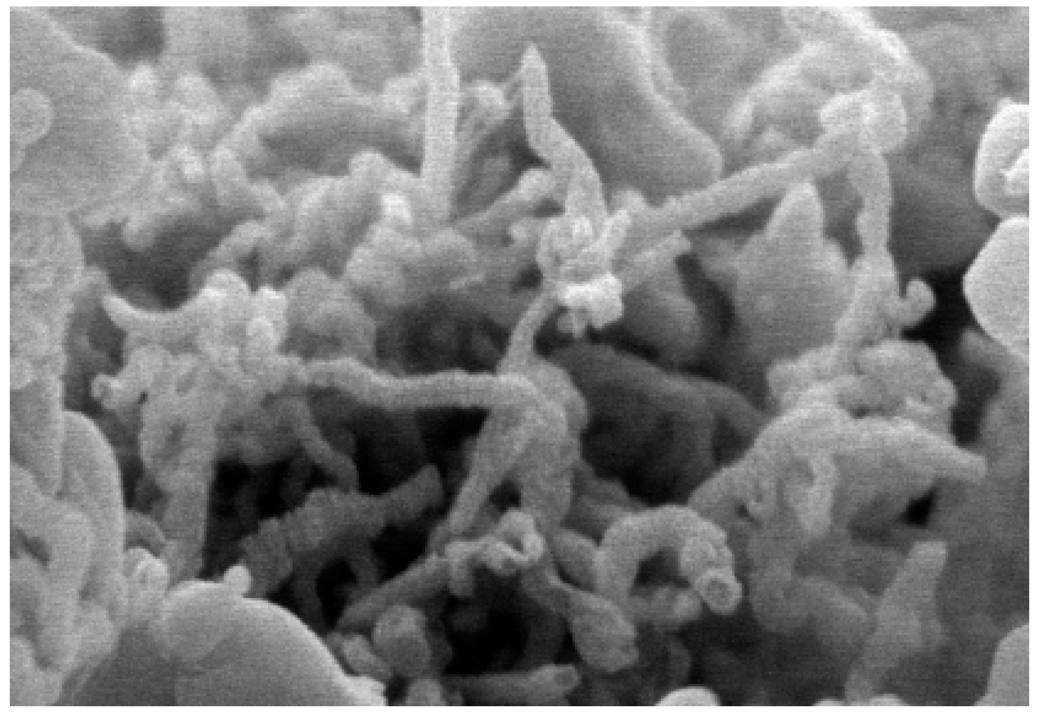 Catalysts 13 00472 g010