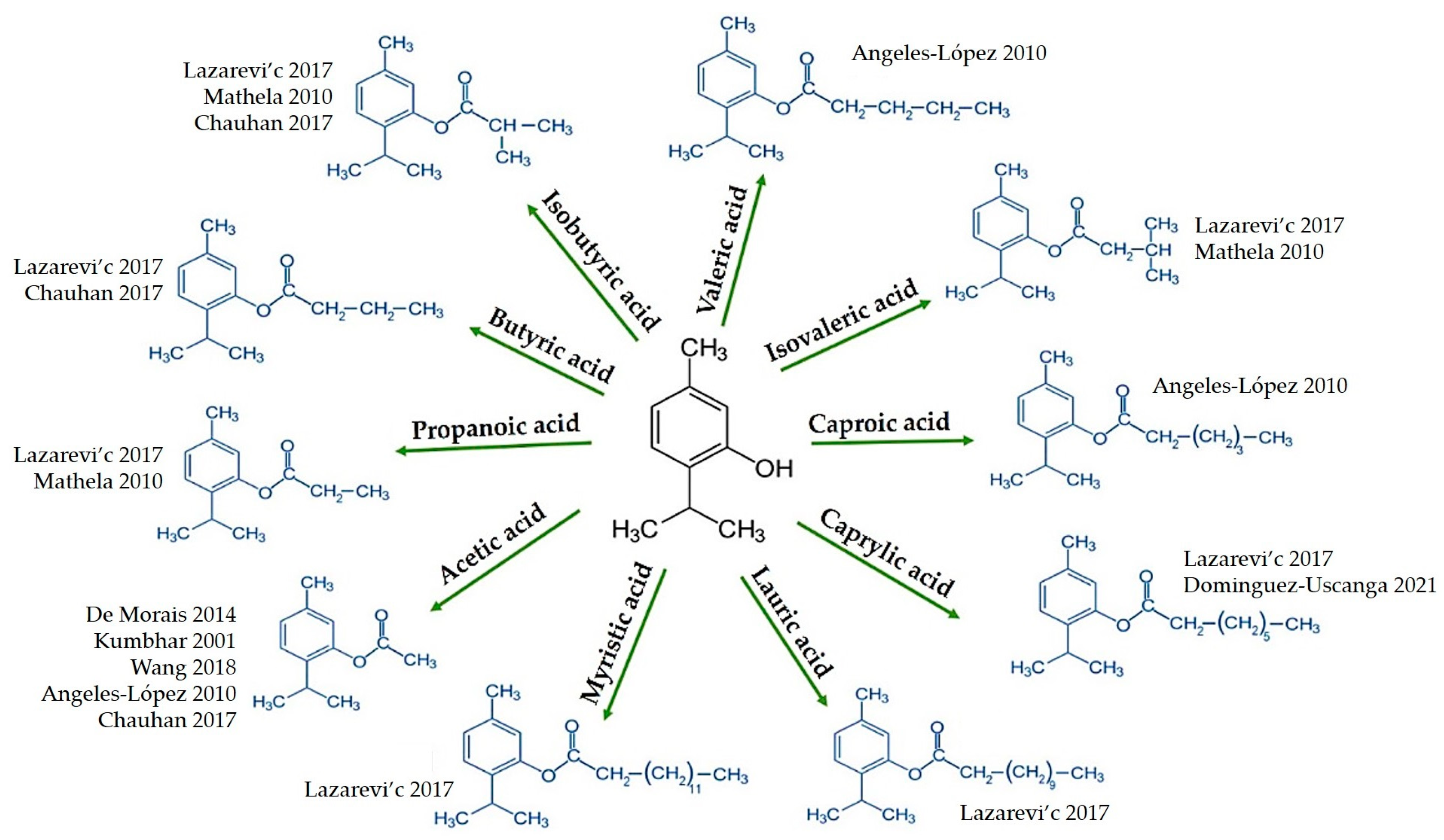 Catalysts 13 00473 g001