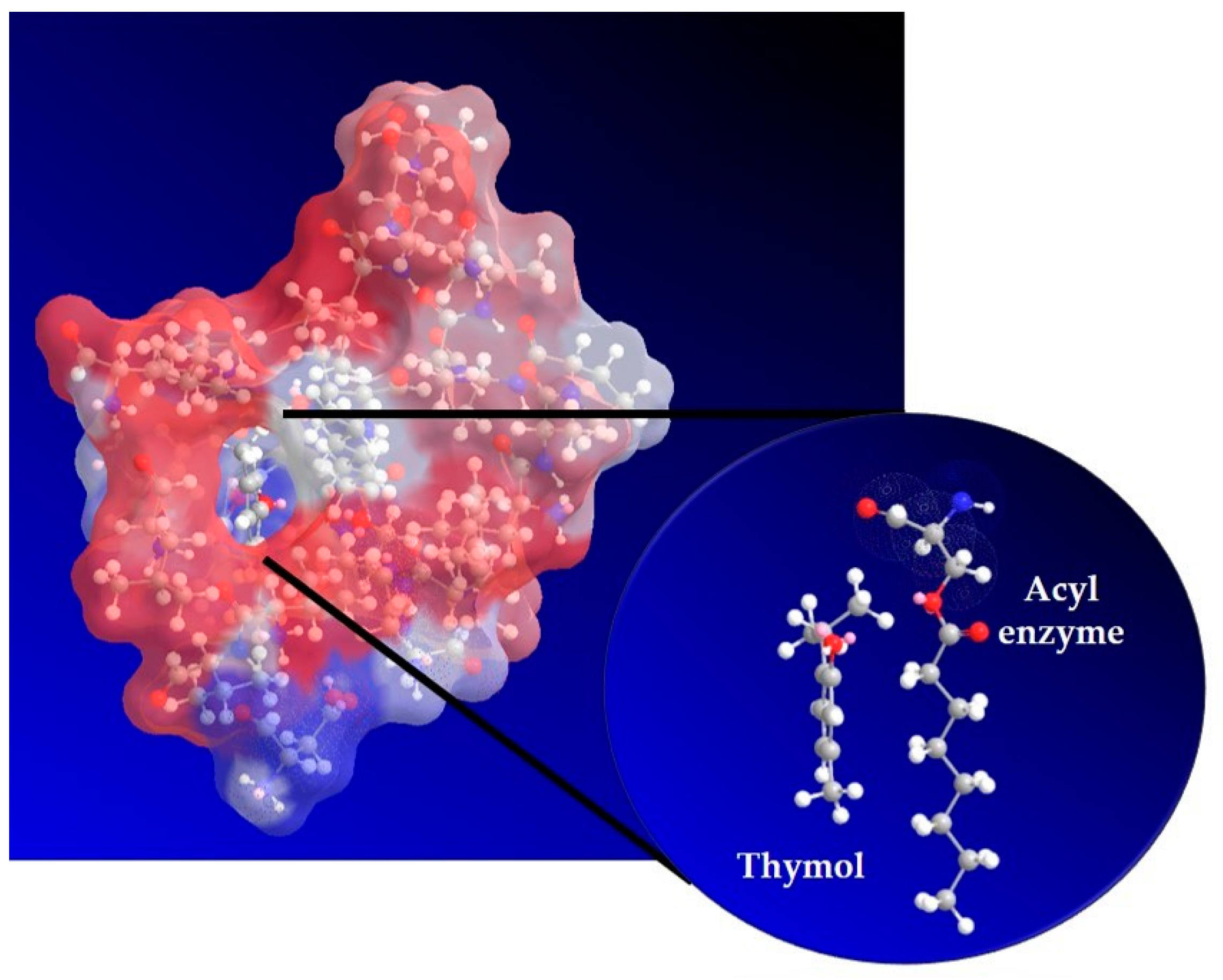 Catalysts 13 00473 g002