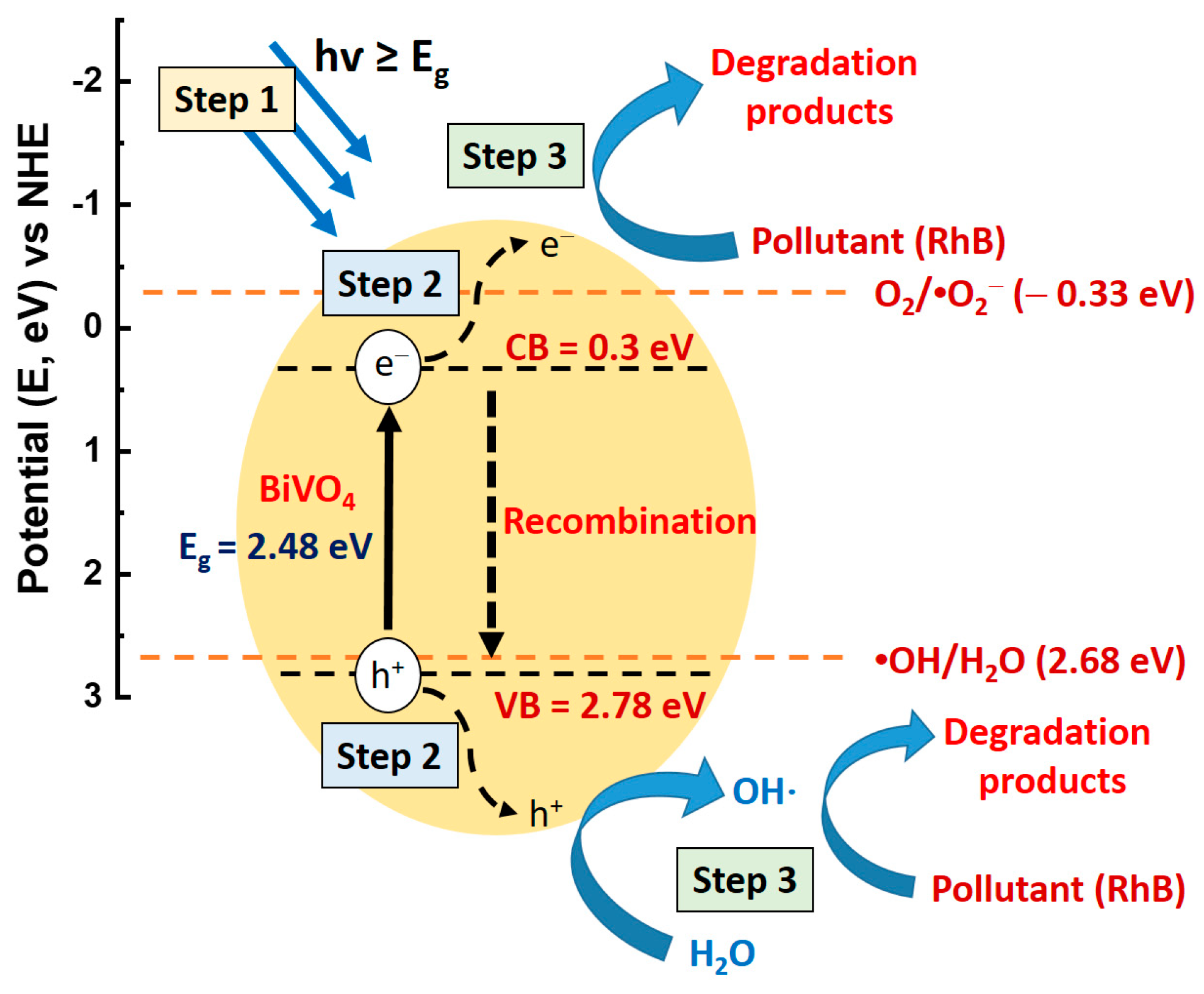 Catalysts 13 00475 g008