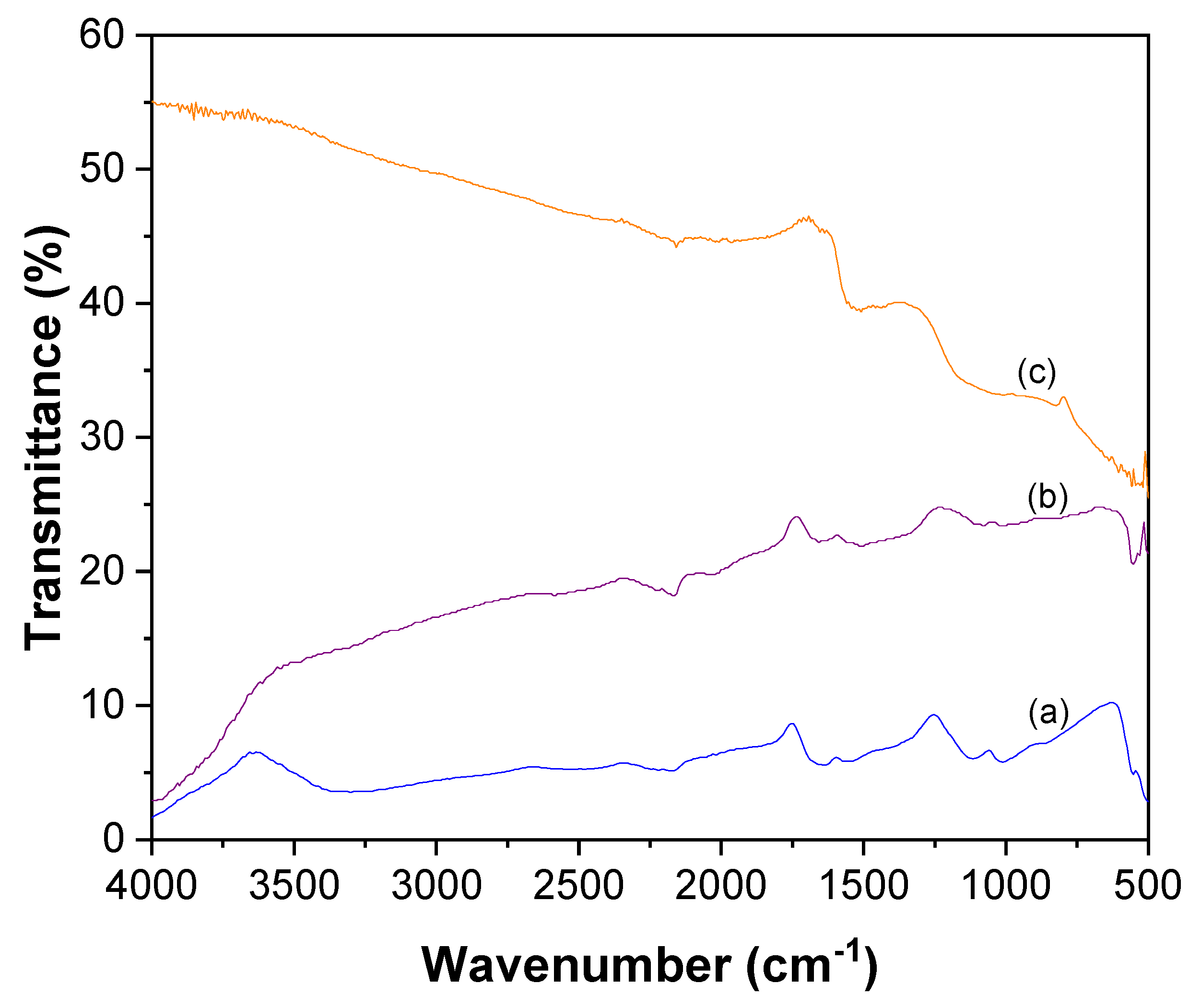 Catalysts 13 00476 g001