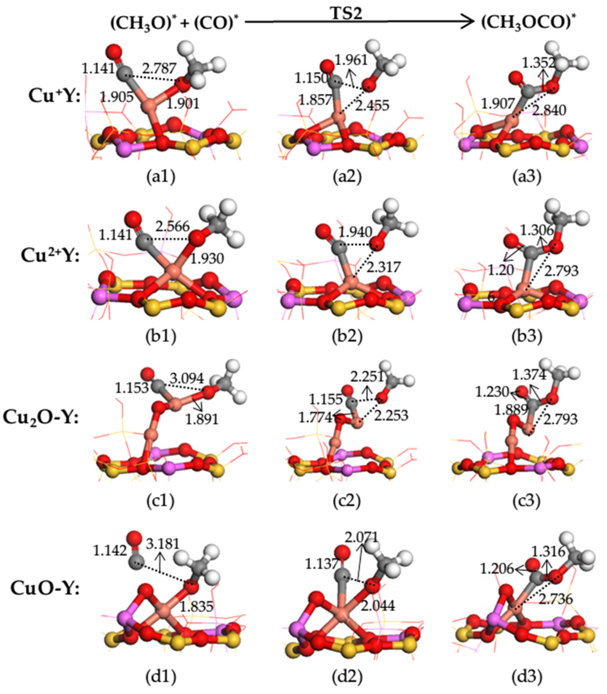 Catalysts 13 00477 g006