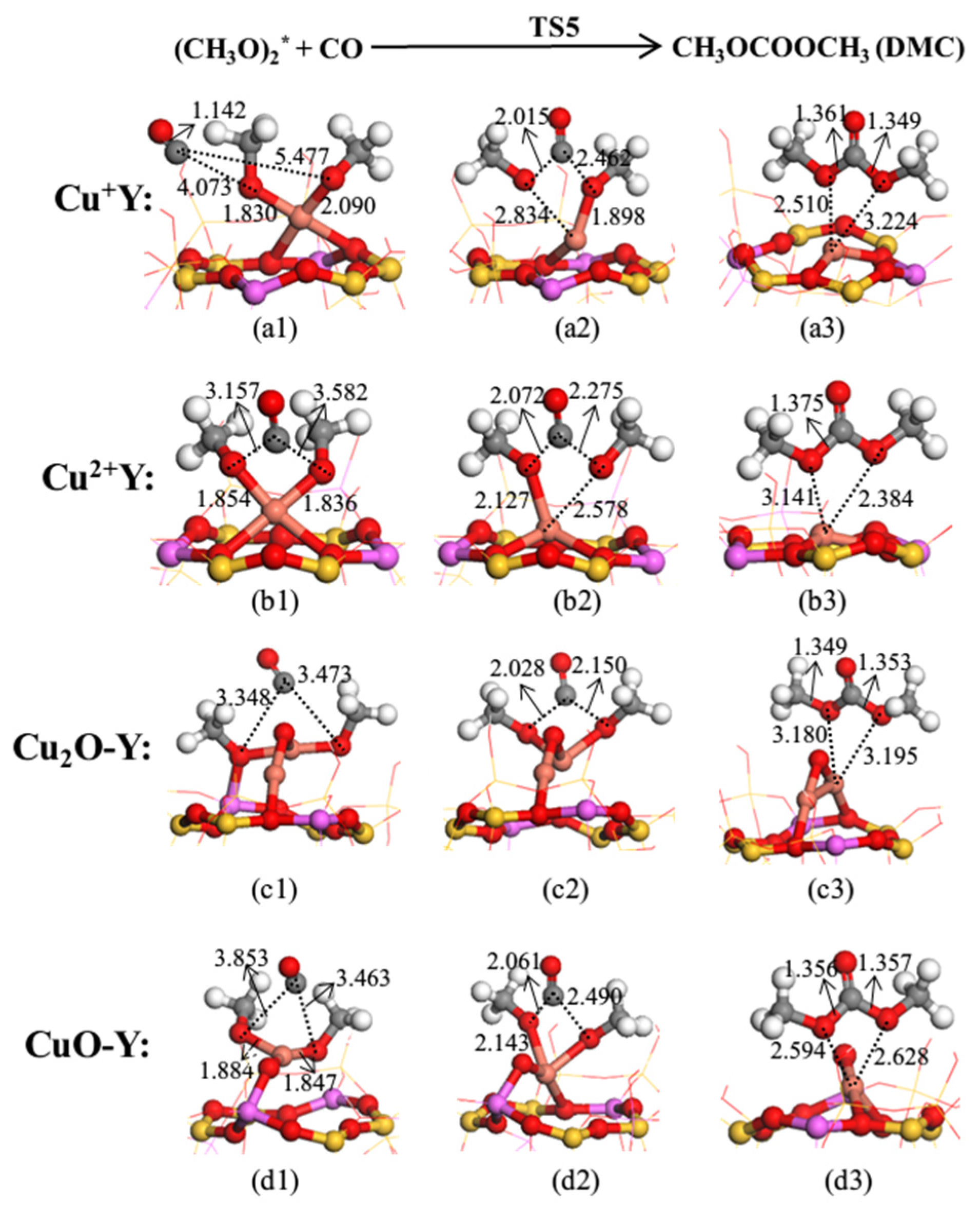Catalysts 13 00477 g009