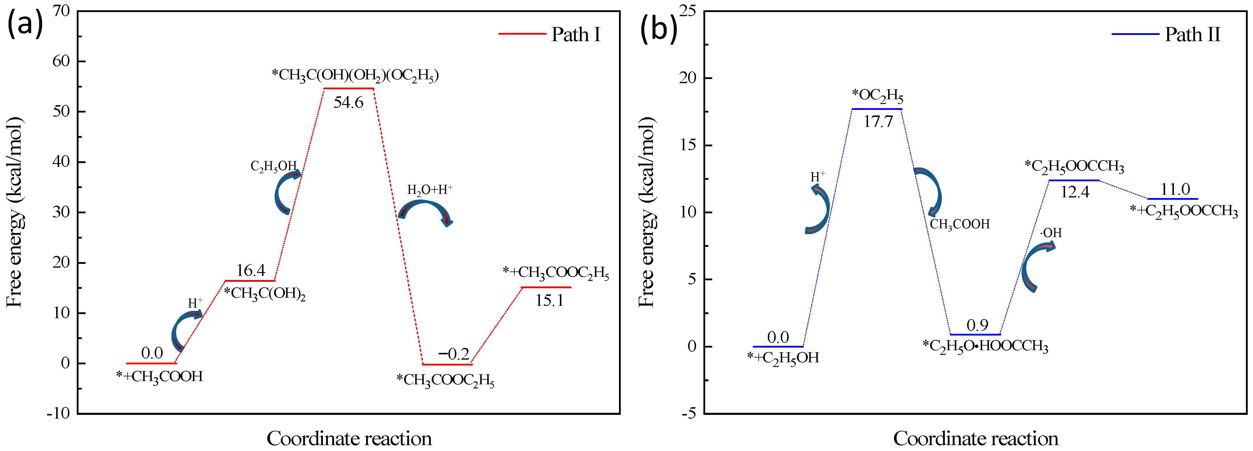 Catalysts 13 00478 g004