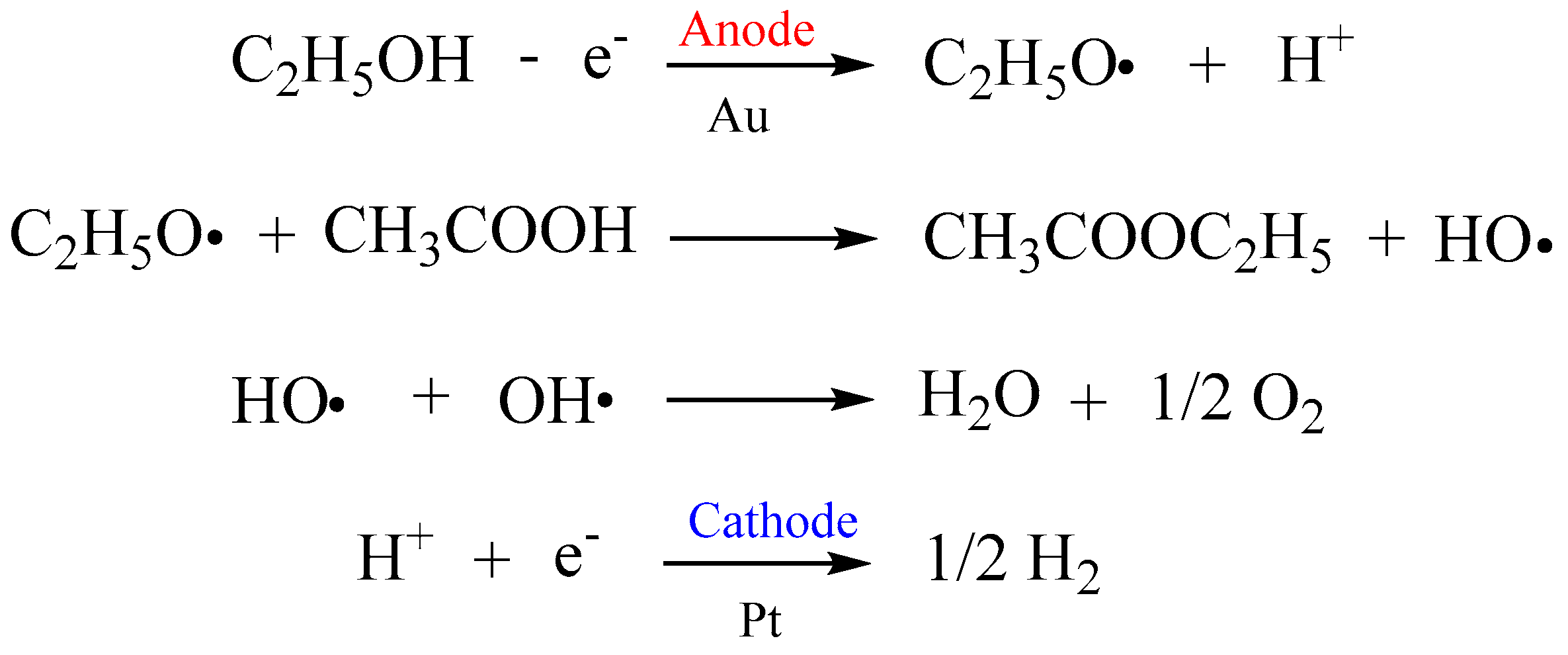Catalysts 13 00478 g005