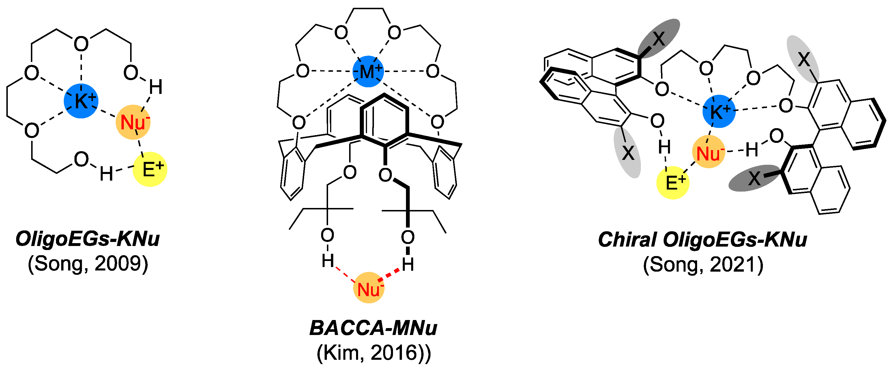 Catalysts 13 00479 g006