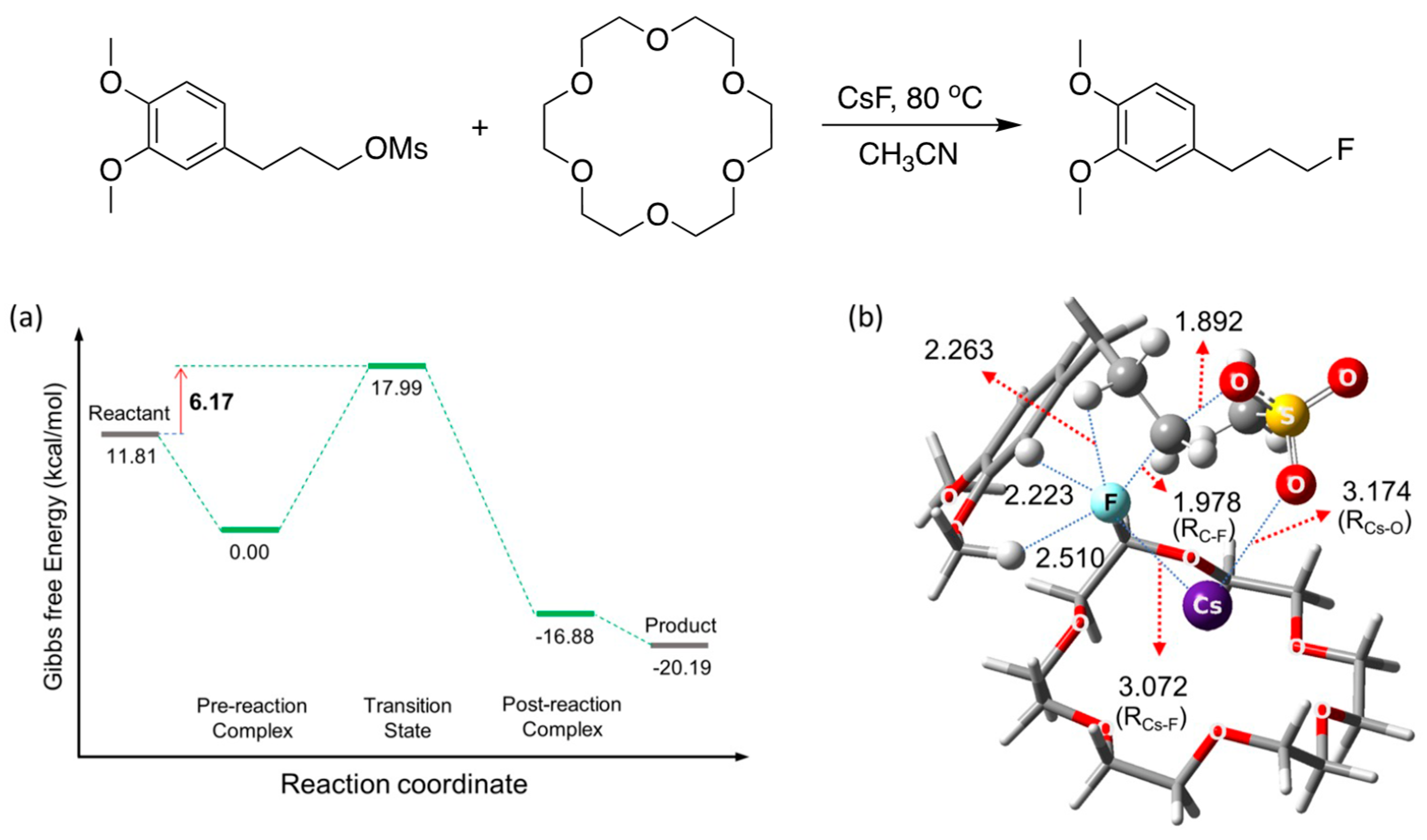 Catalysts 13 00479 g016
