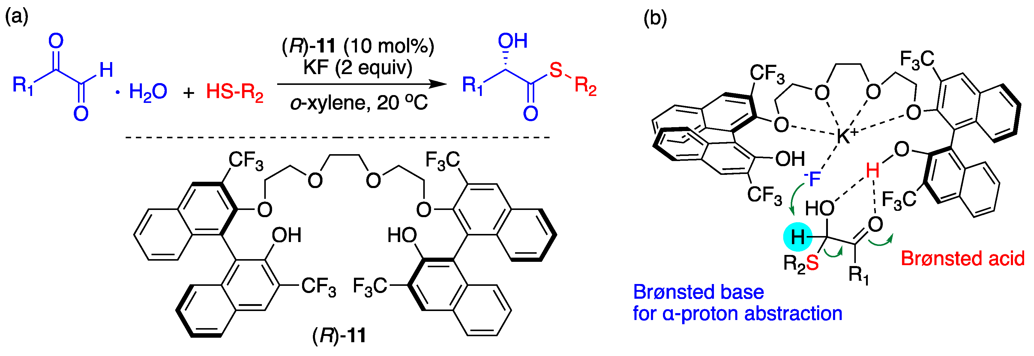 Catalysts 13 00479 g018