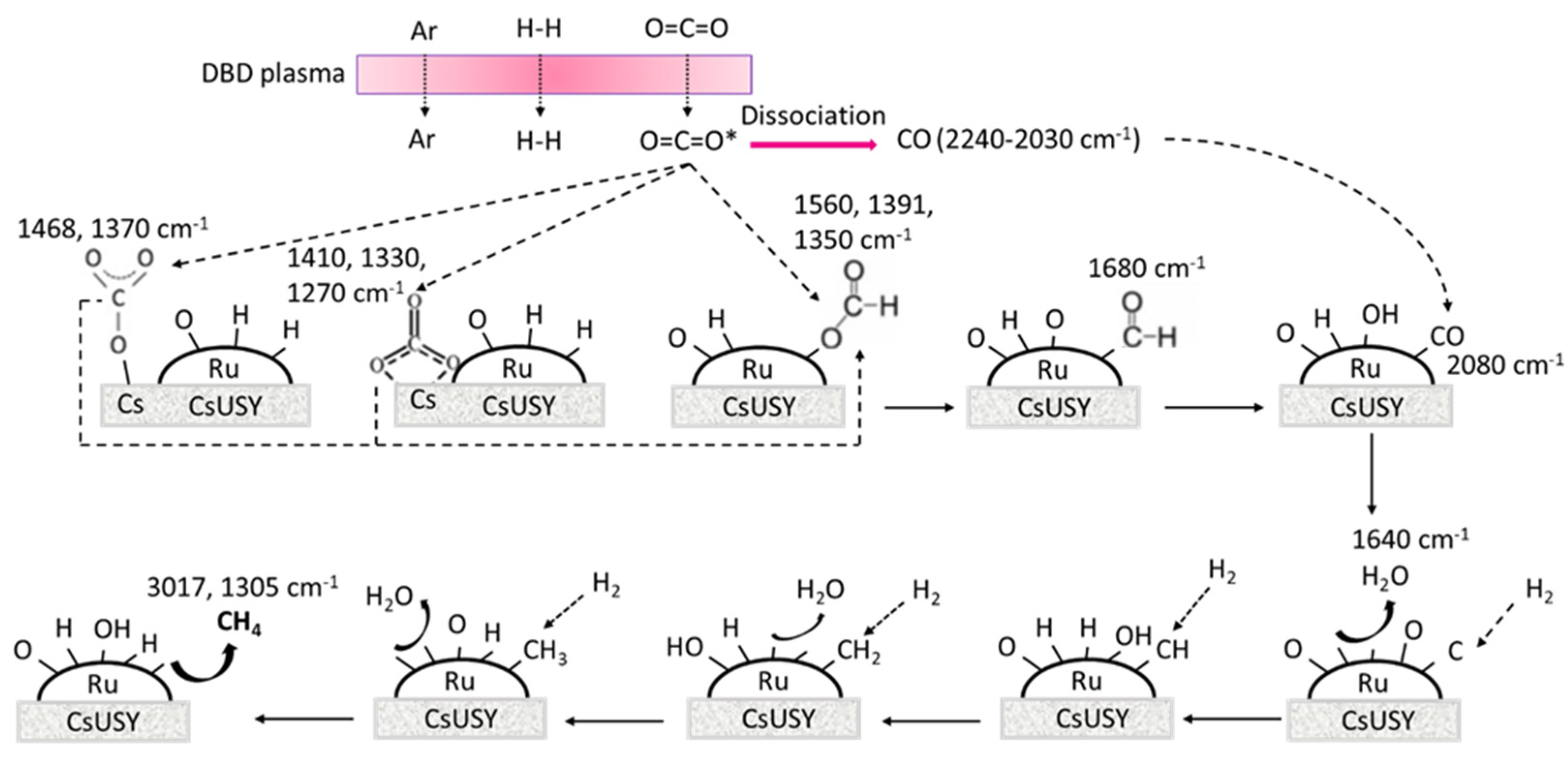 Catalysts 13 00481 g011 Catalysts 13 00481 g011