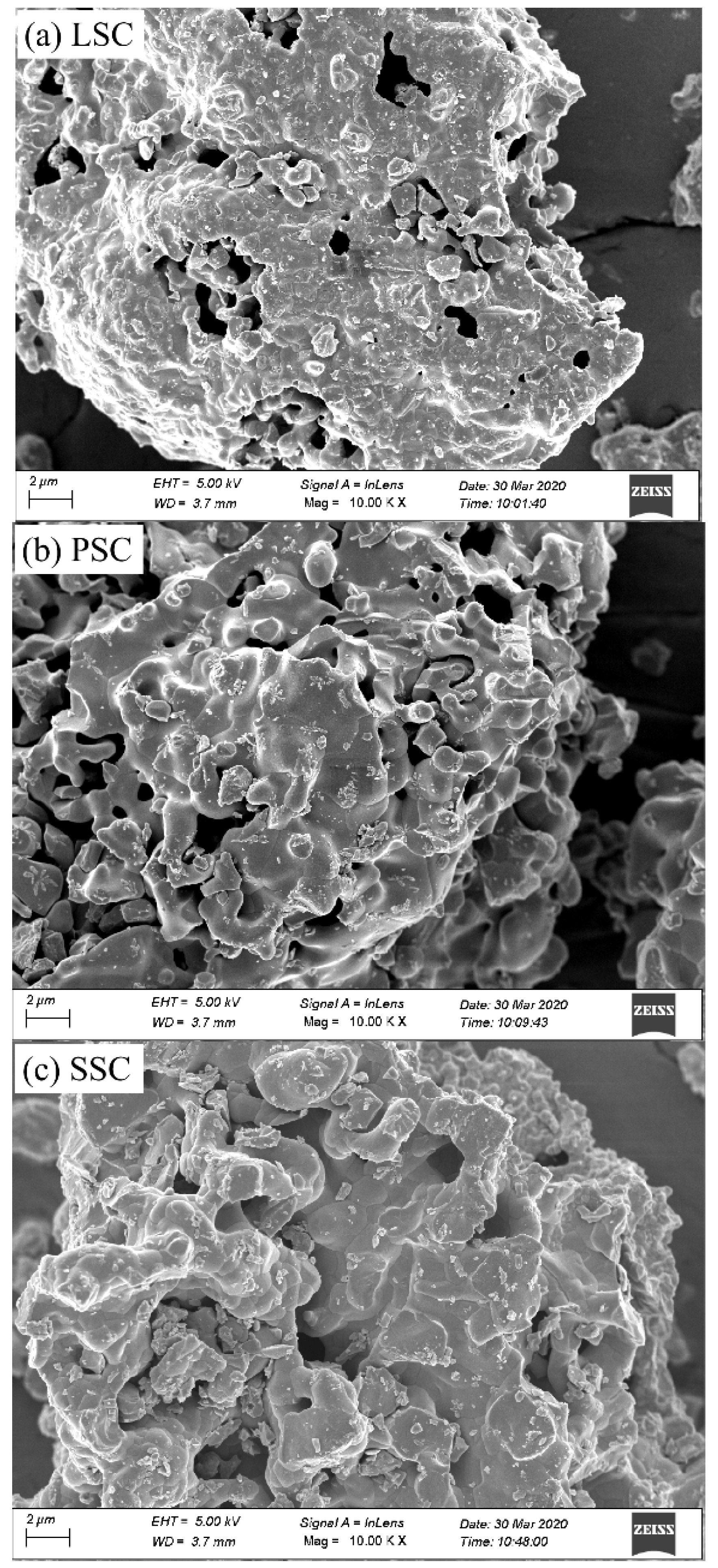 Catalysts 13 00483 g002