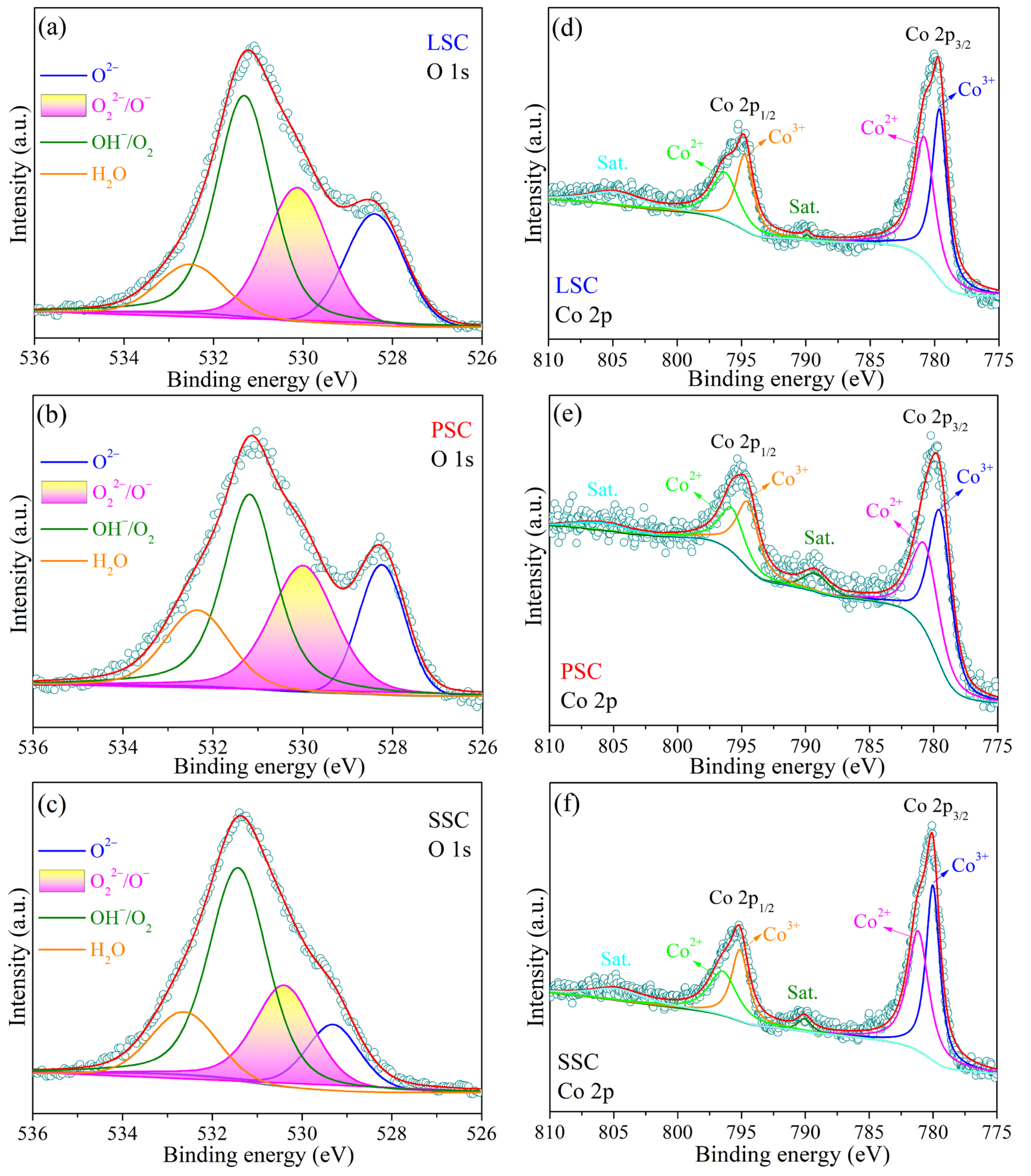 Catalysts 13 00483 g003