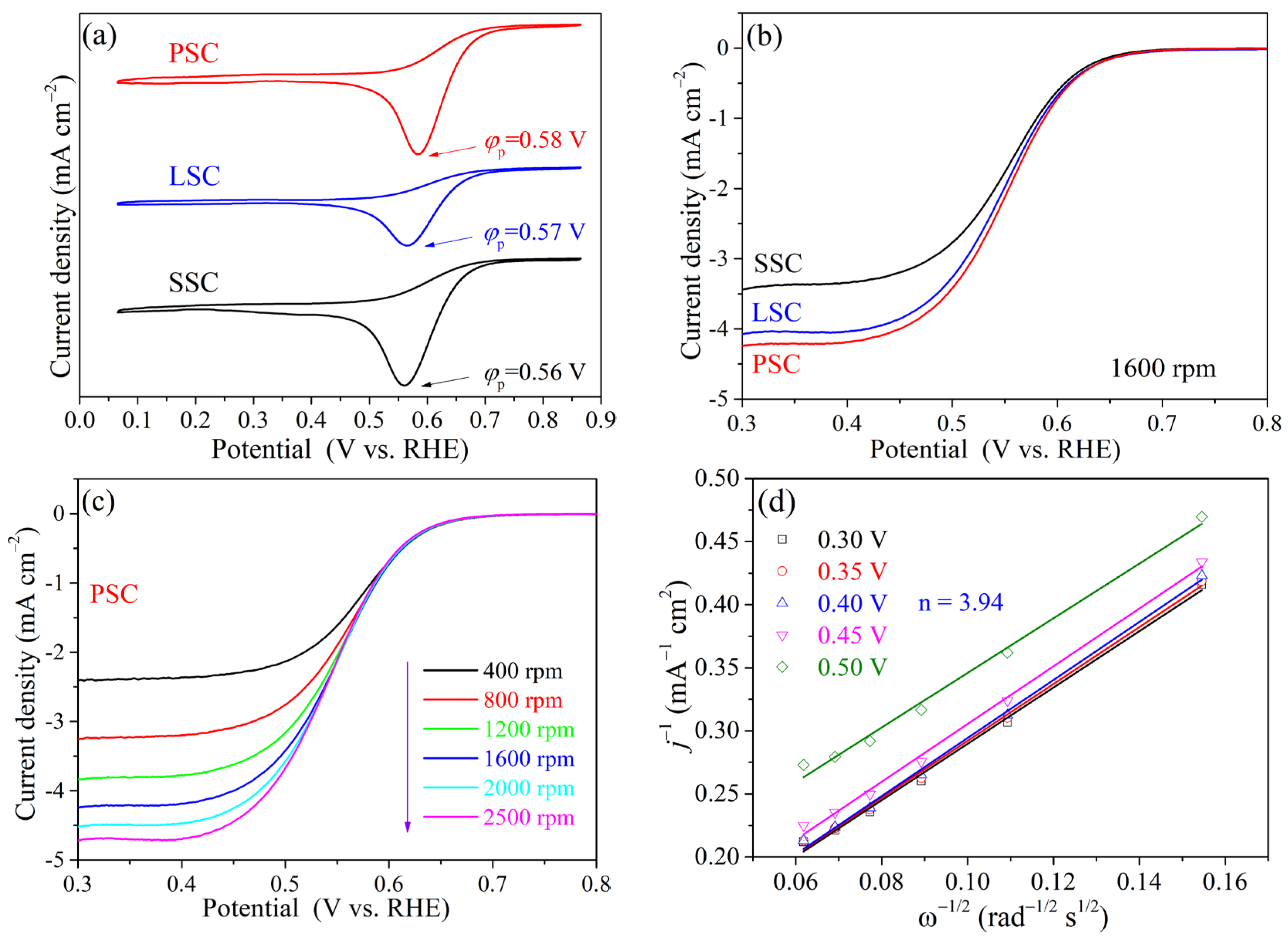 Catalysts 13 00483 g004