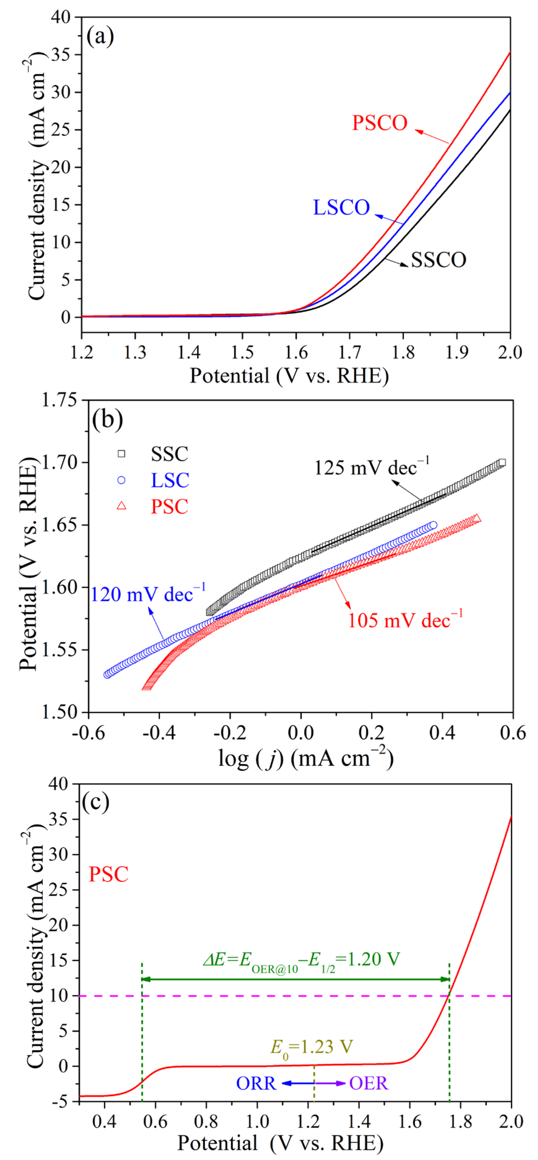 Catalysts 13 00483 g005