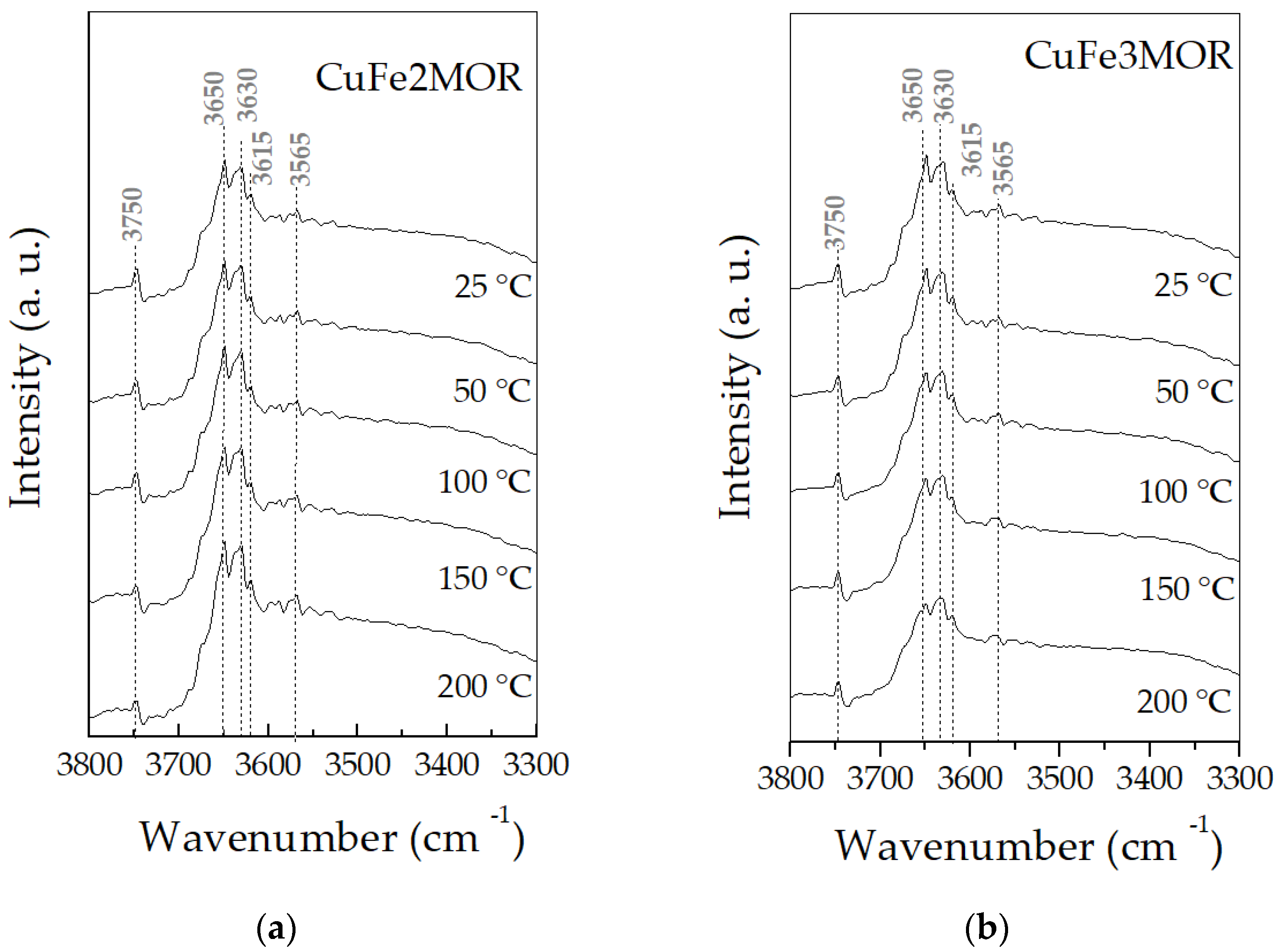 Catalysts 13 00484 g003