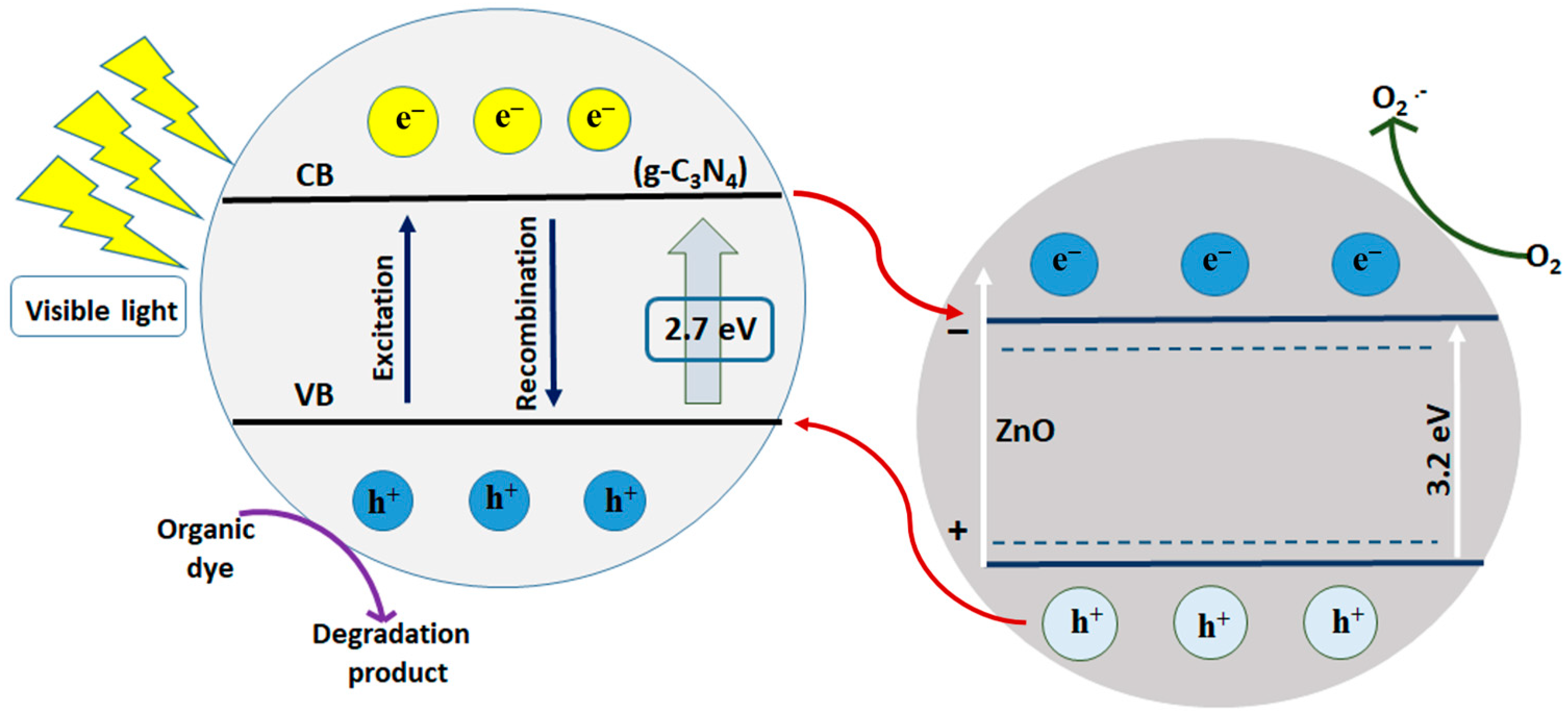 Catalysts 13 00485 g002