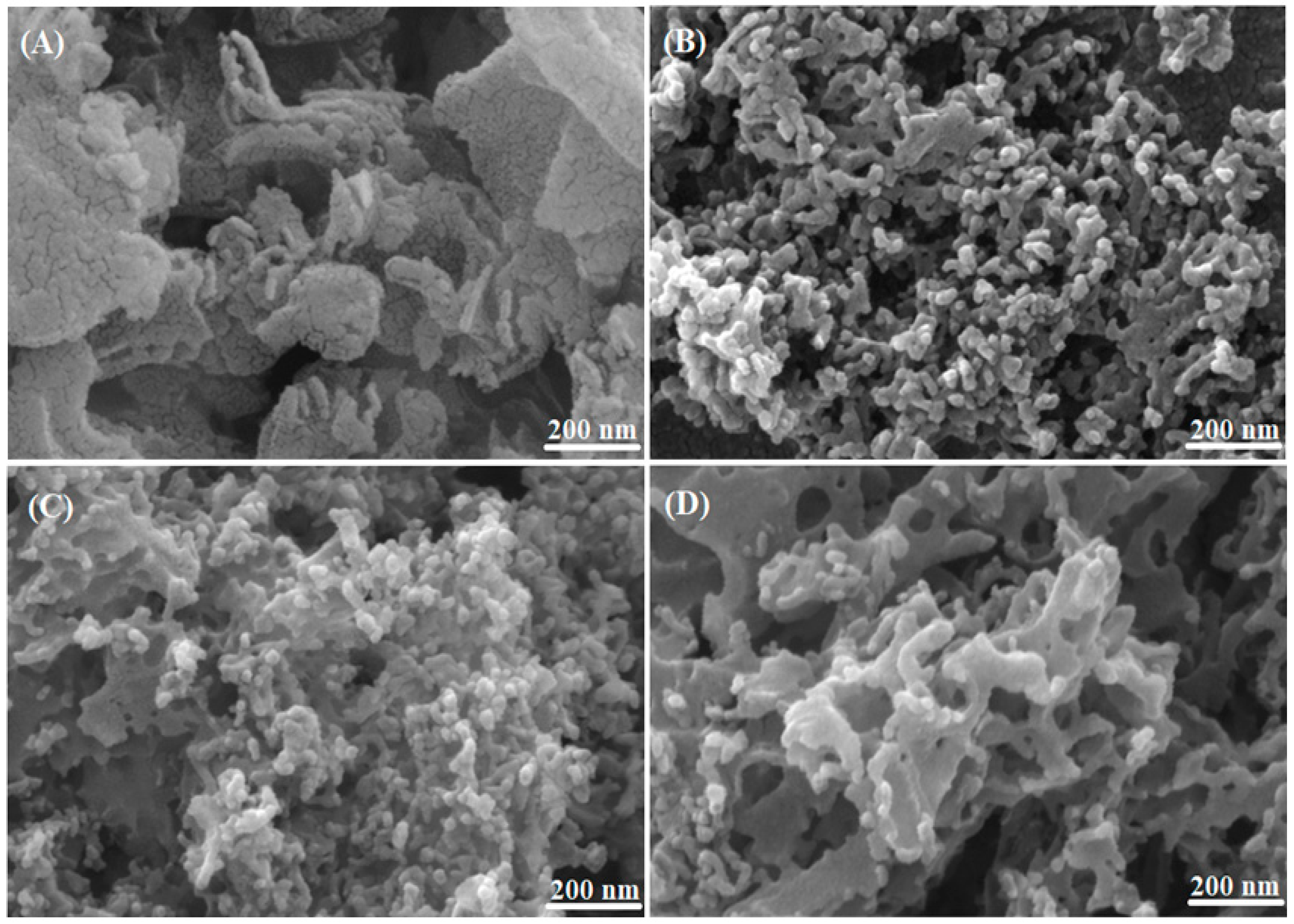 Catalysts 13 00485 g004