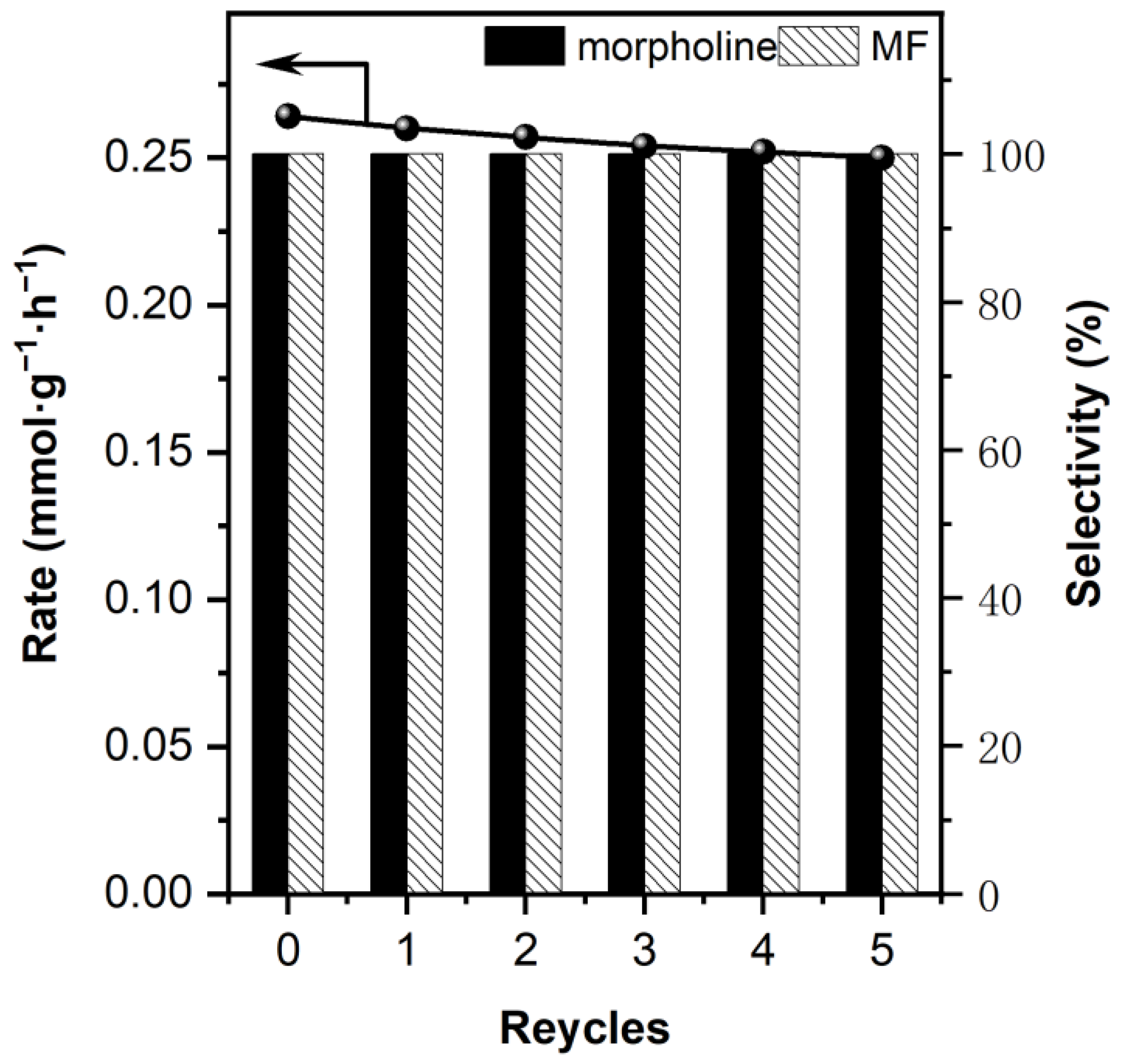 Catalysts 13 00487 g007