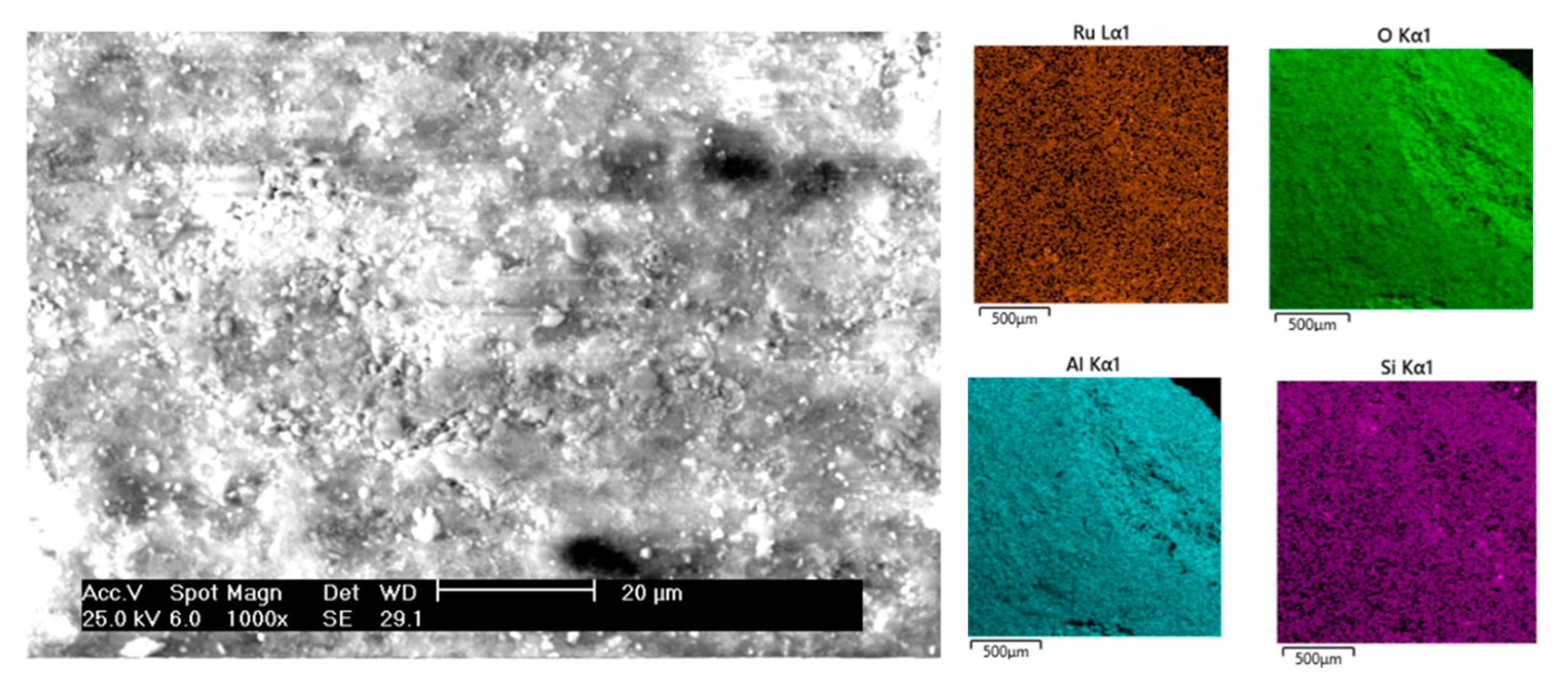 Catalysts 13 00488 g003