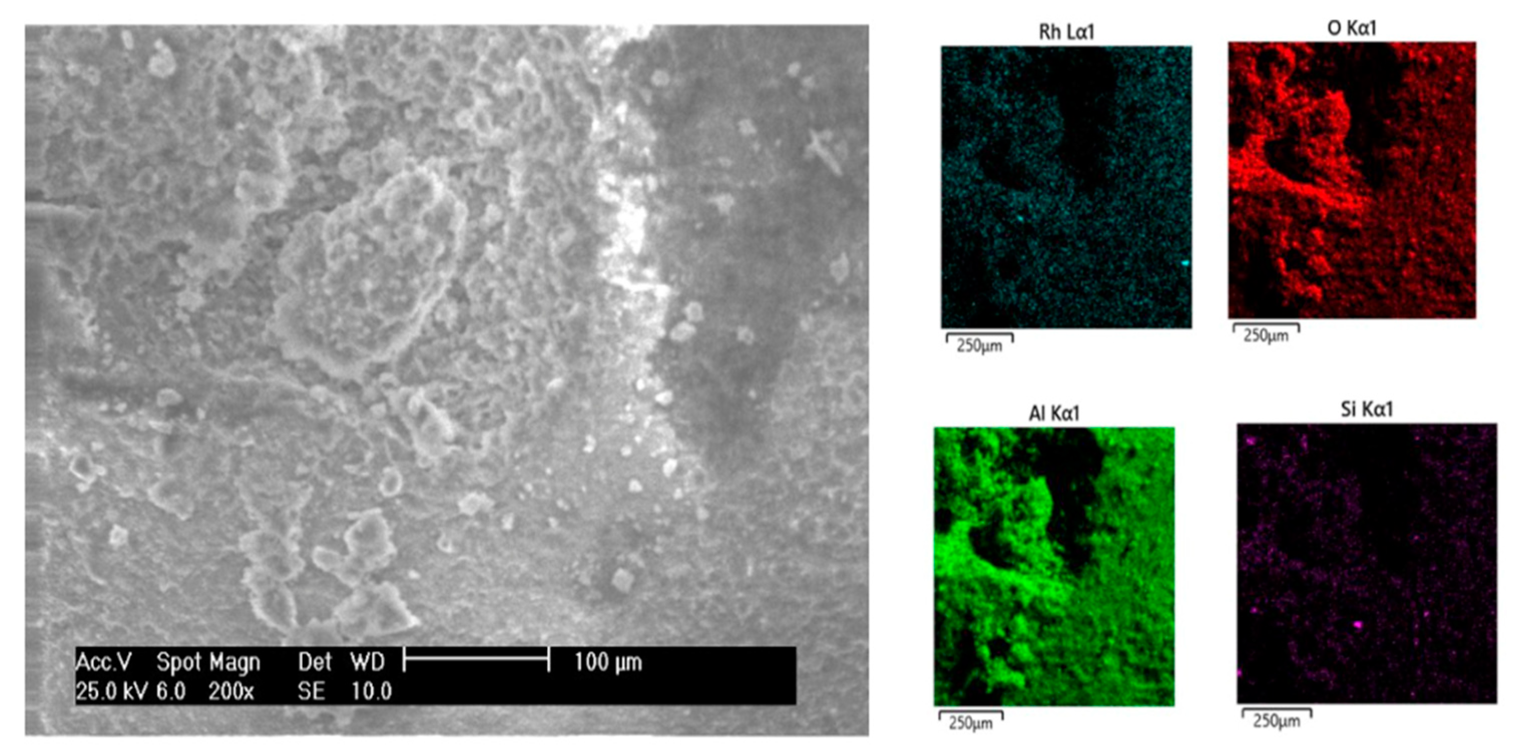 Catalysts 13 00488 g004