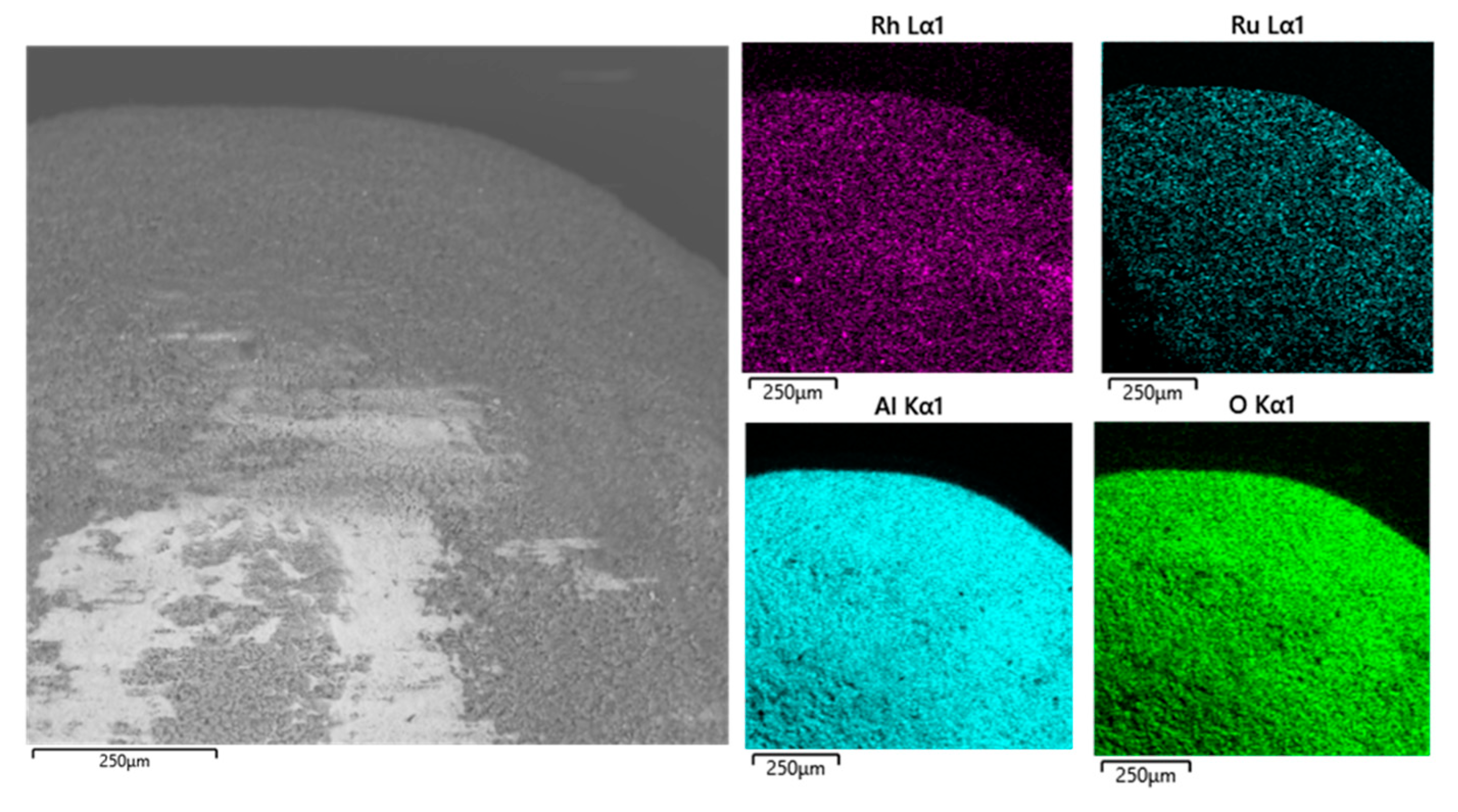 Catalysts 13 00488 g005