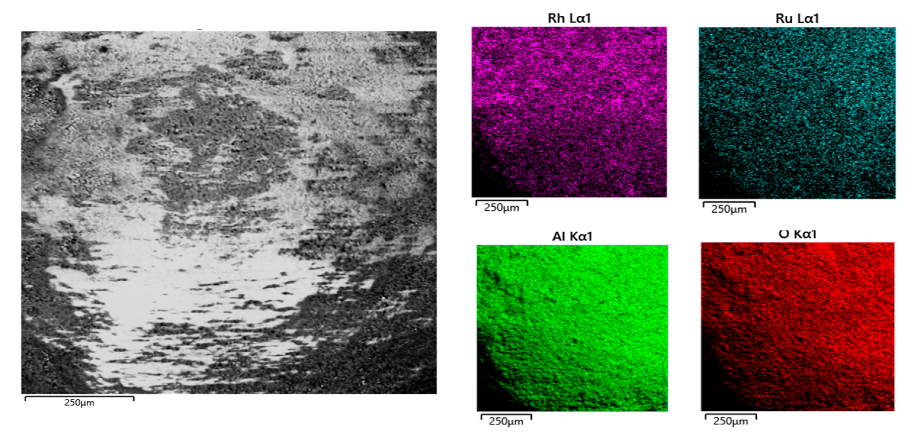 Catalysts 13 00488 g006