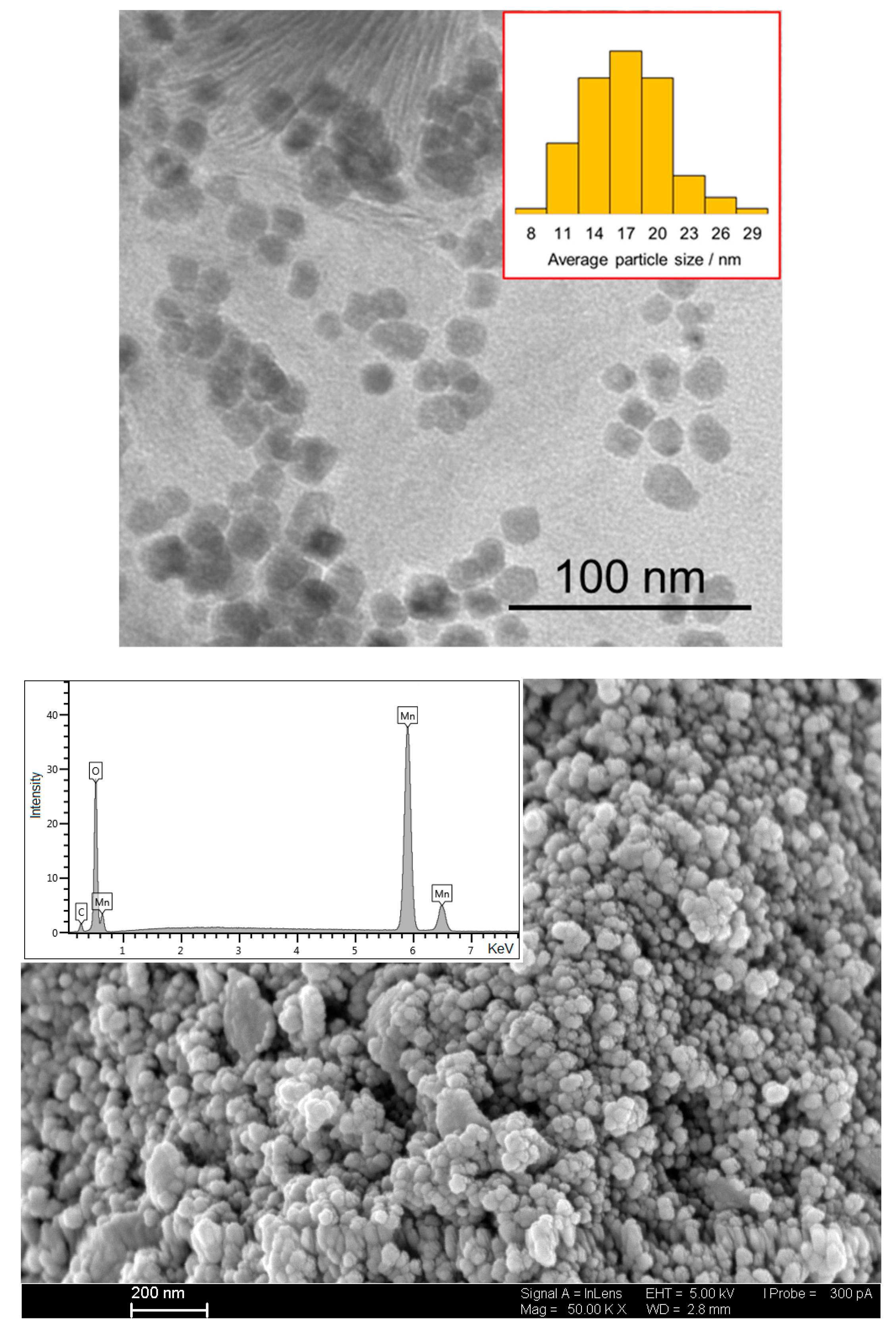 Catalysts 13 00491 g001