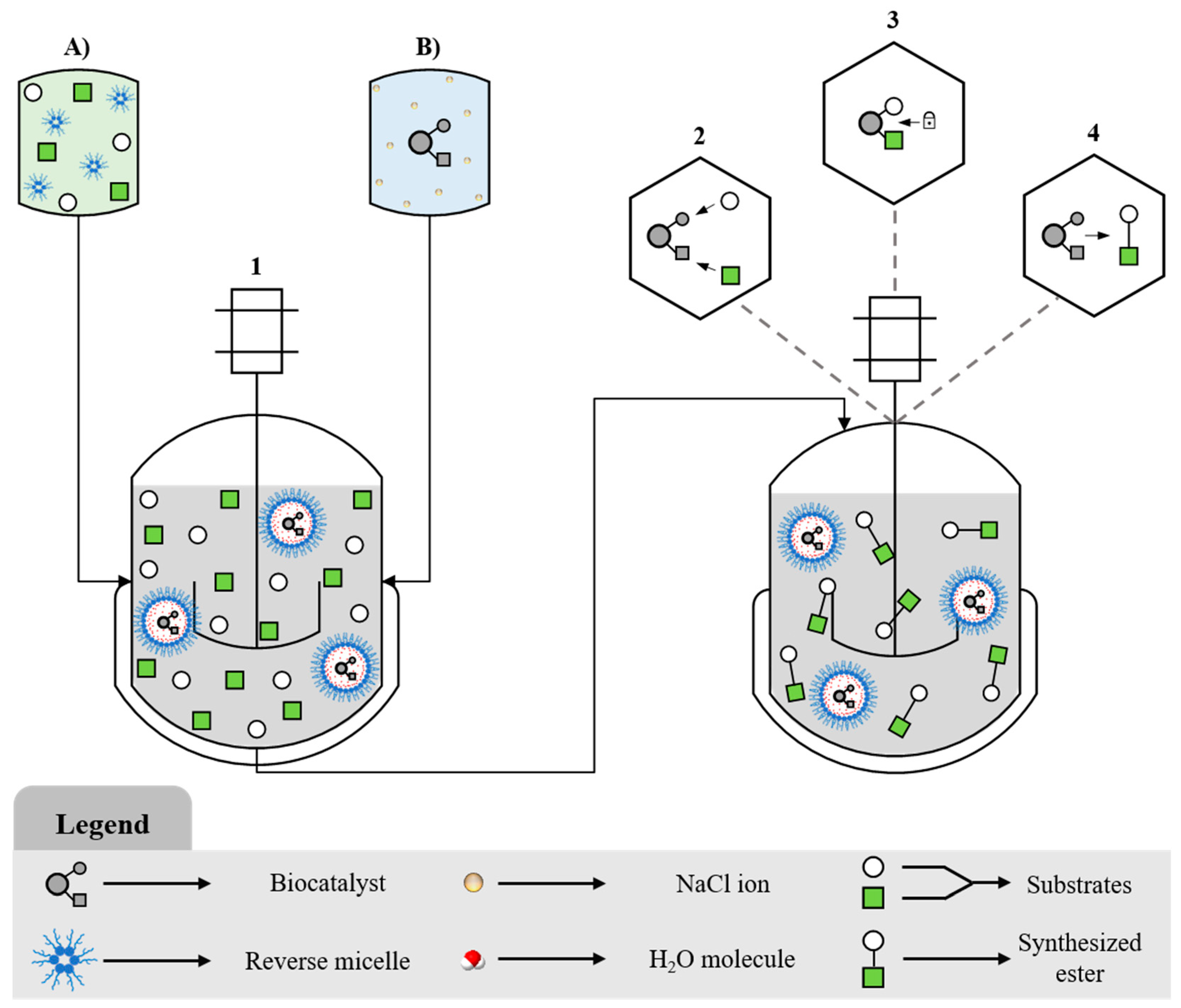 Catalysts 13 00492 g005